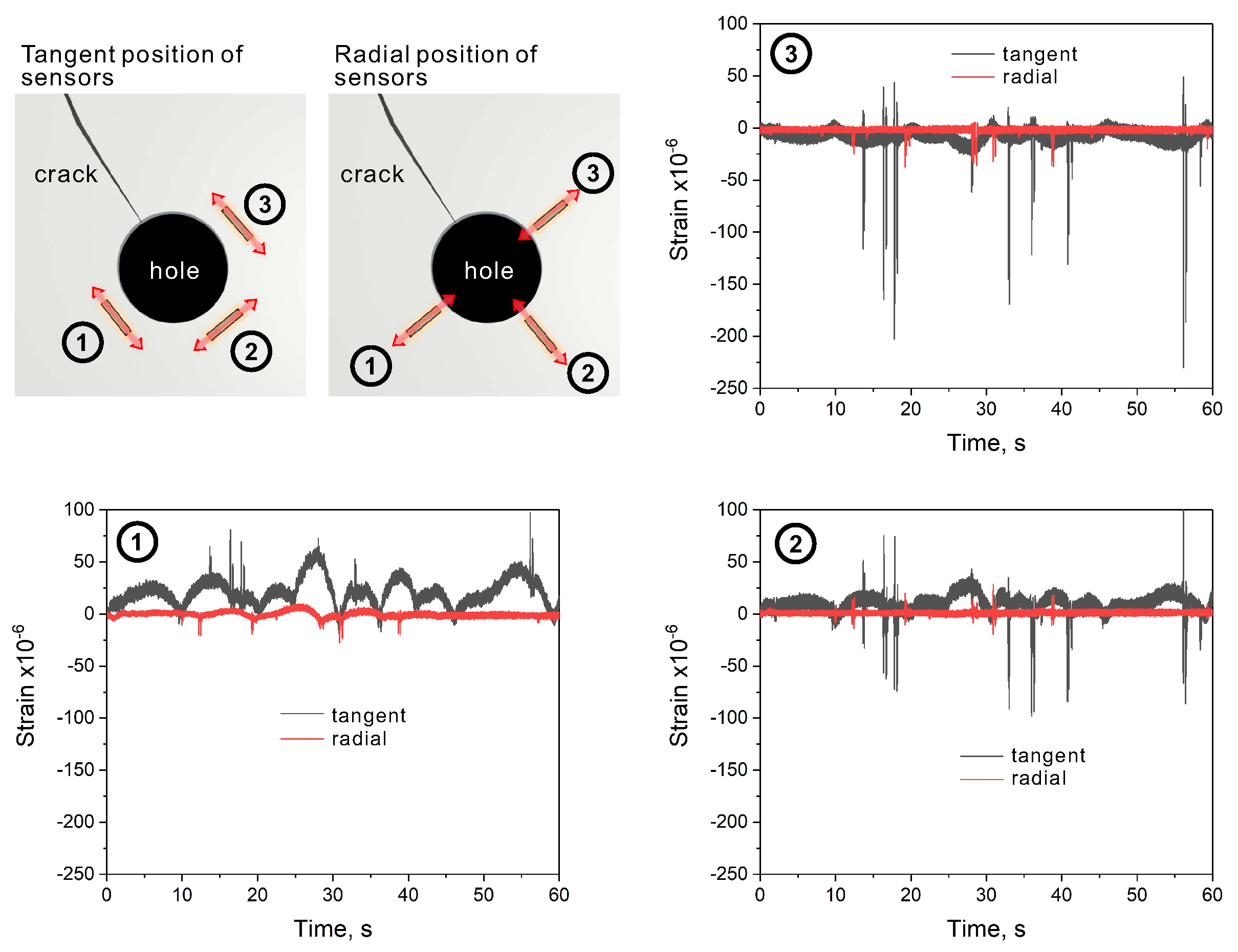Sensors 20 01997 g003