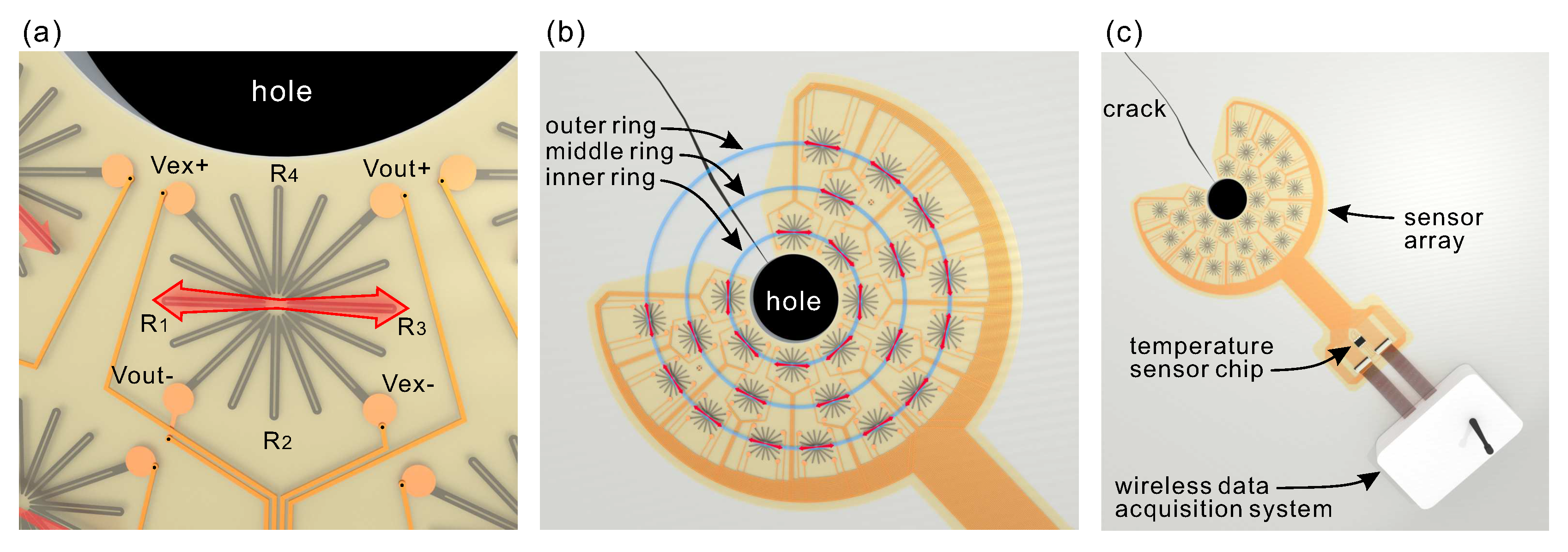 Sensors 20 01997 g005