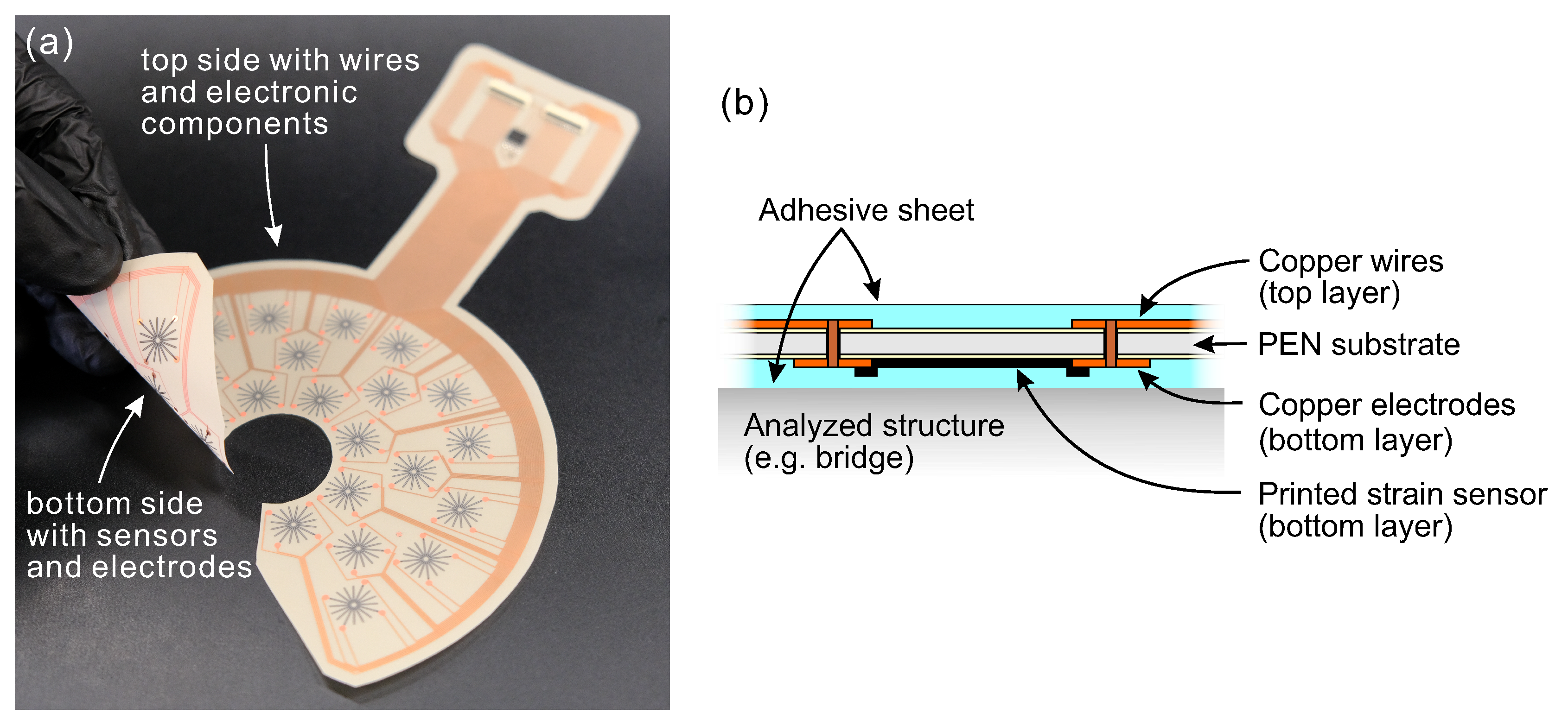 Sensors 20 01997 g007