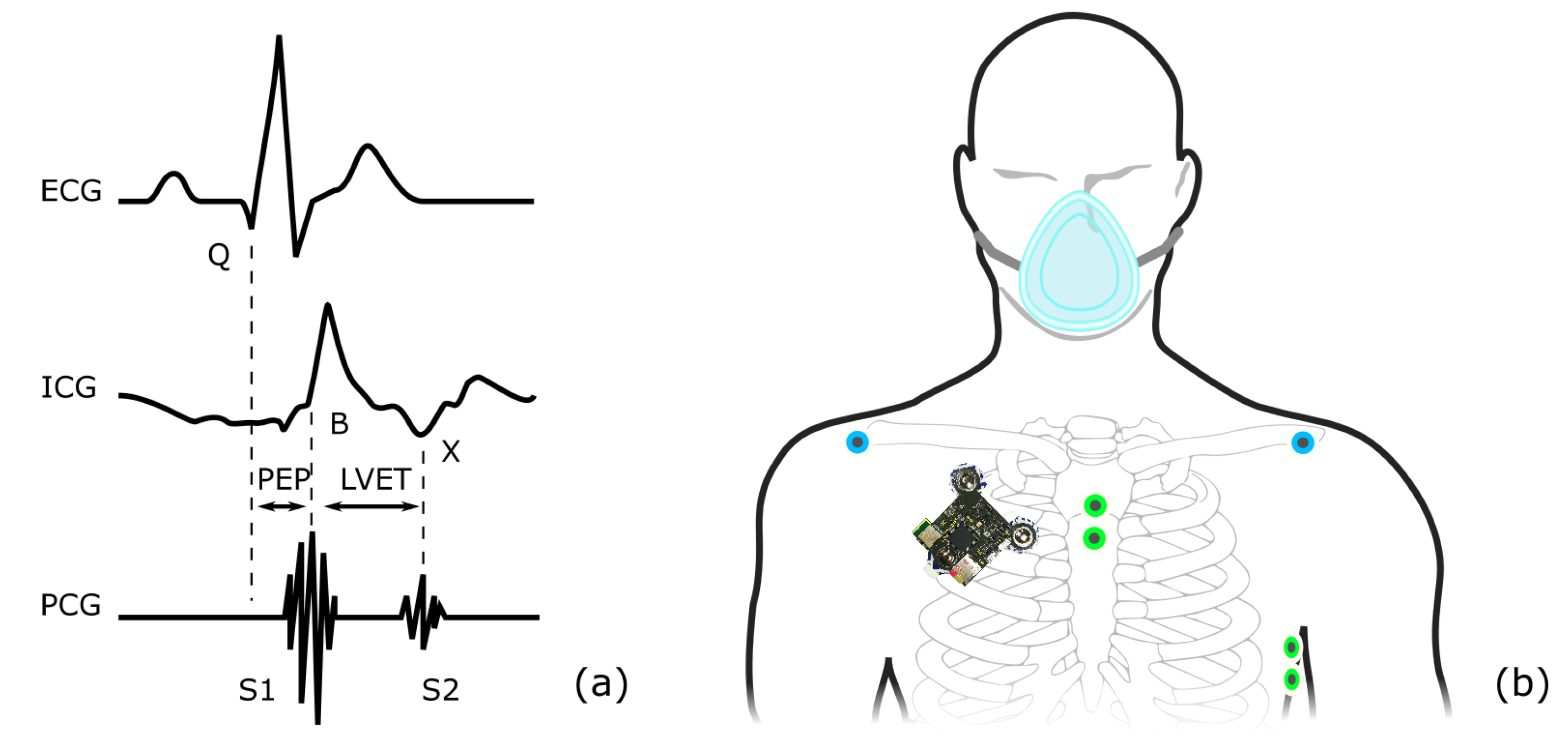 Sensors 20 02033 g003