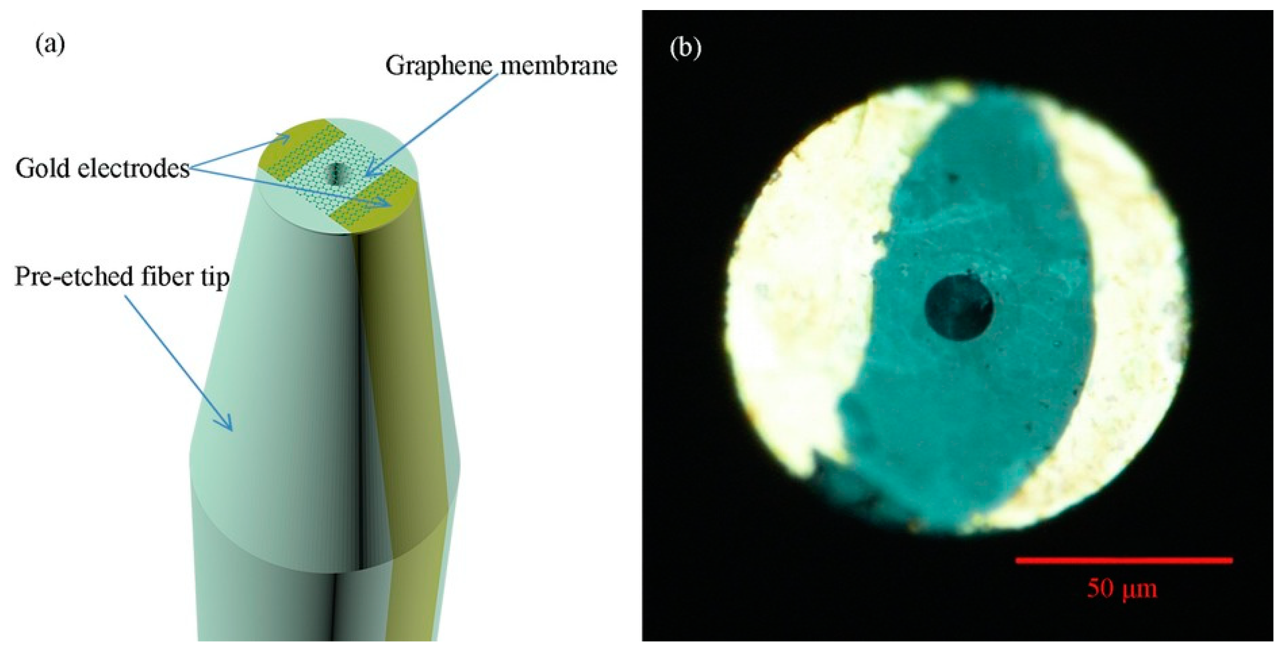 Sensors 20 02046 g006 Sensors 20 02046 g006