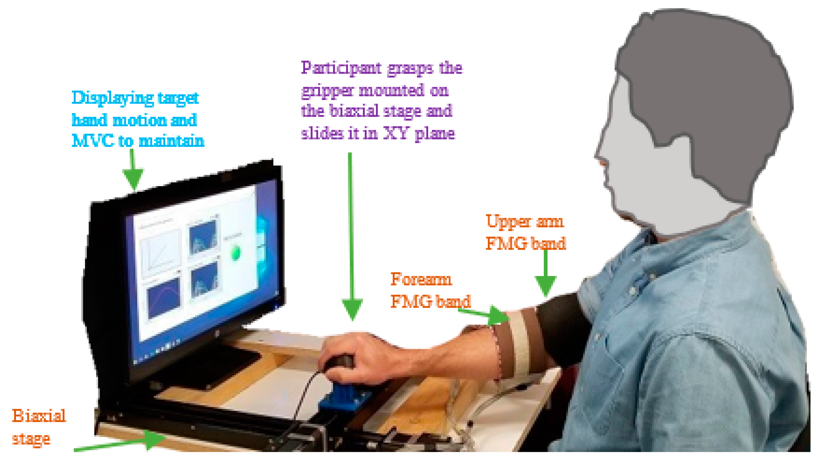 Sensors 20 02104 g005