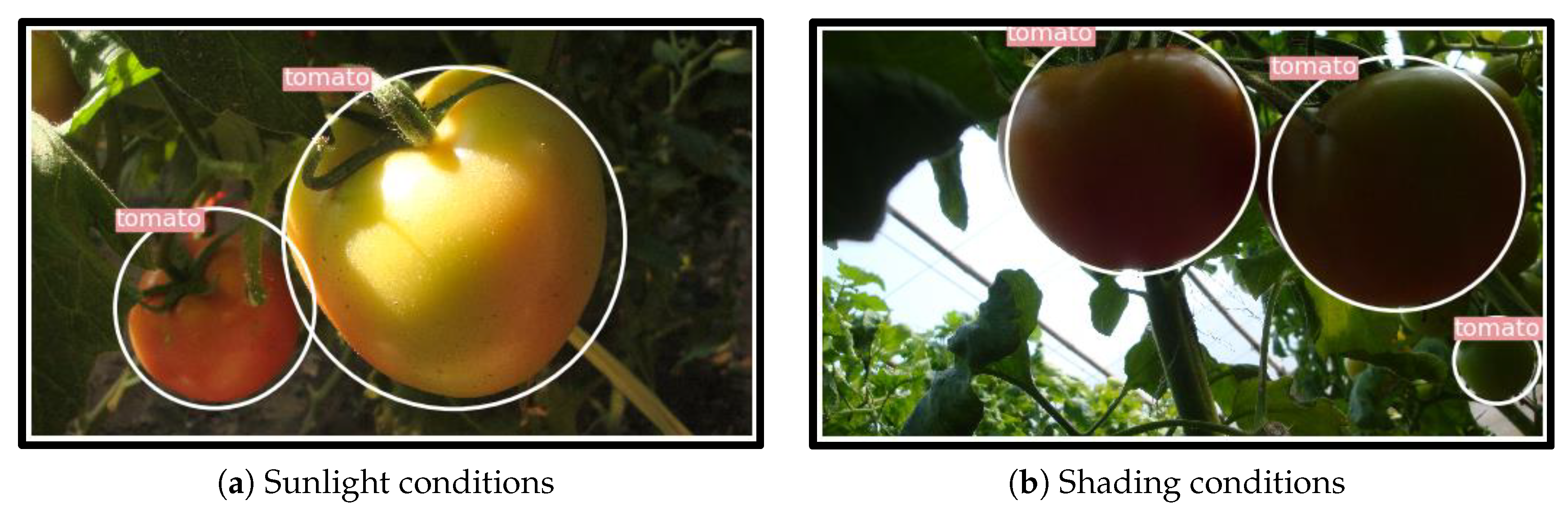 Sensors 20 02145 g014