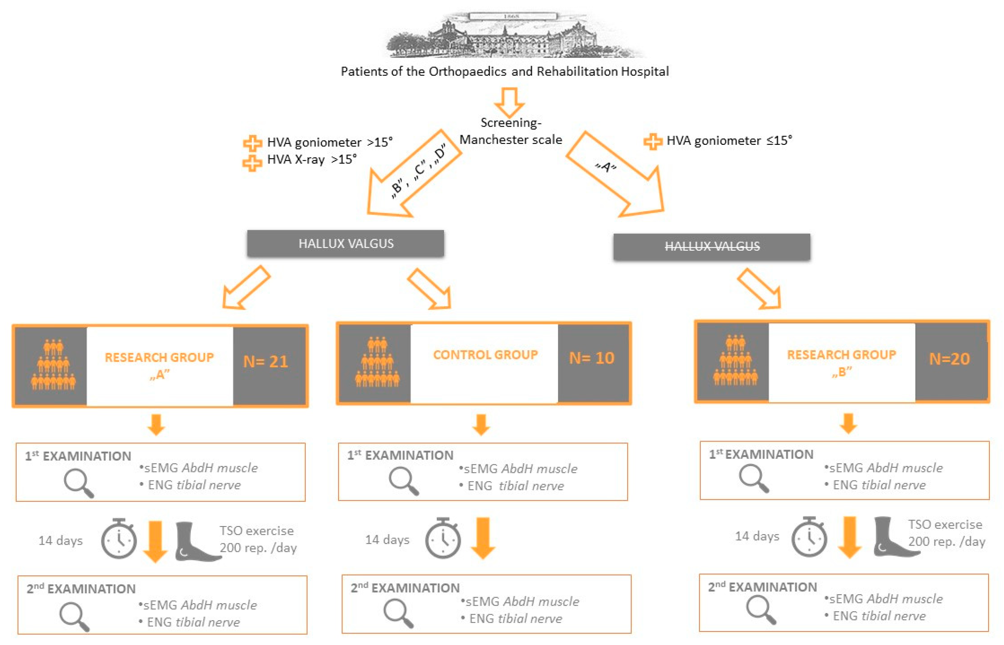 Frontiers  High-resolution surface electromyographic activities