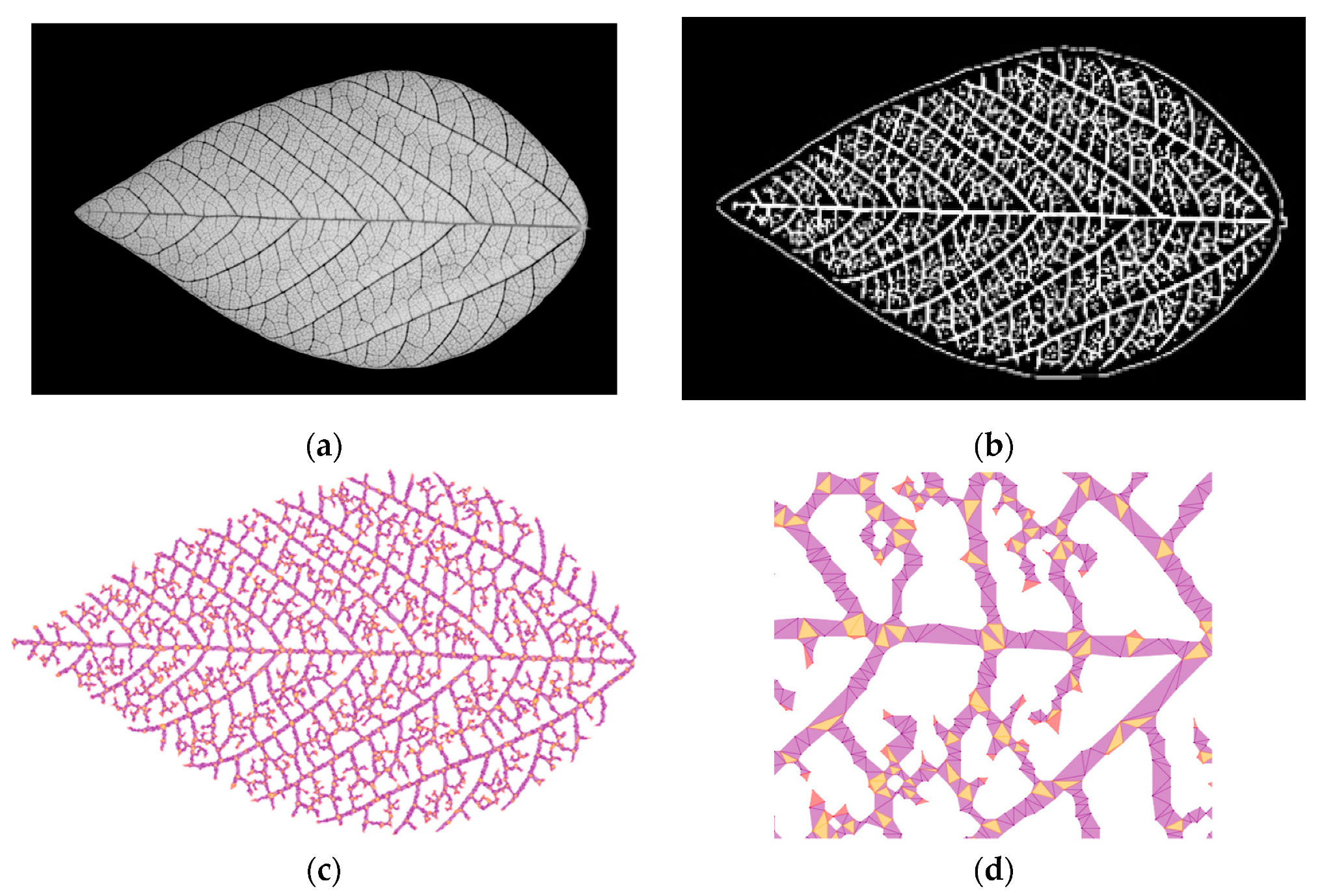 Sensors 20 02194 g007