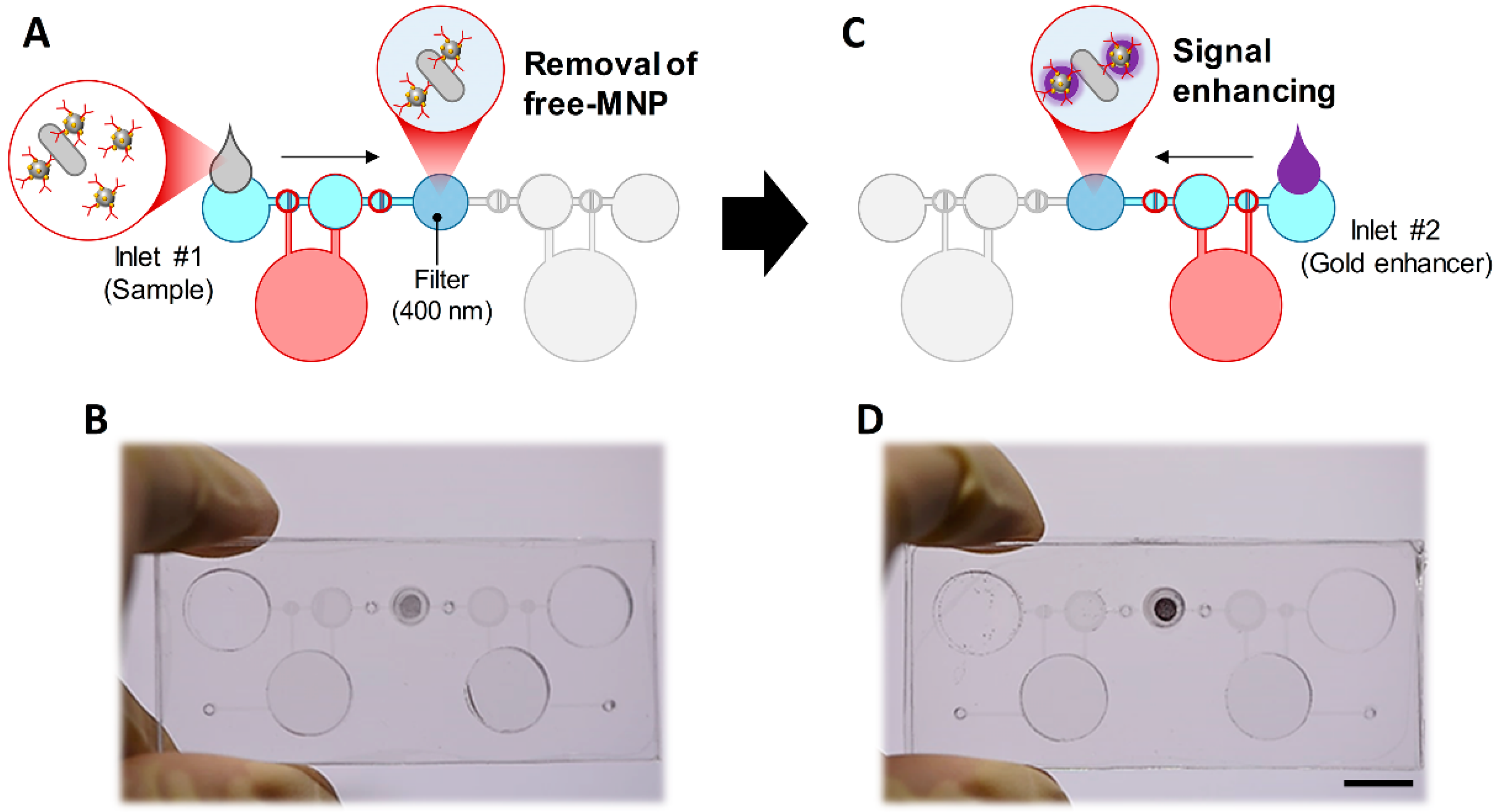 Sensors 20 02267 g002