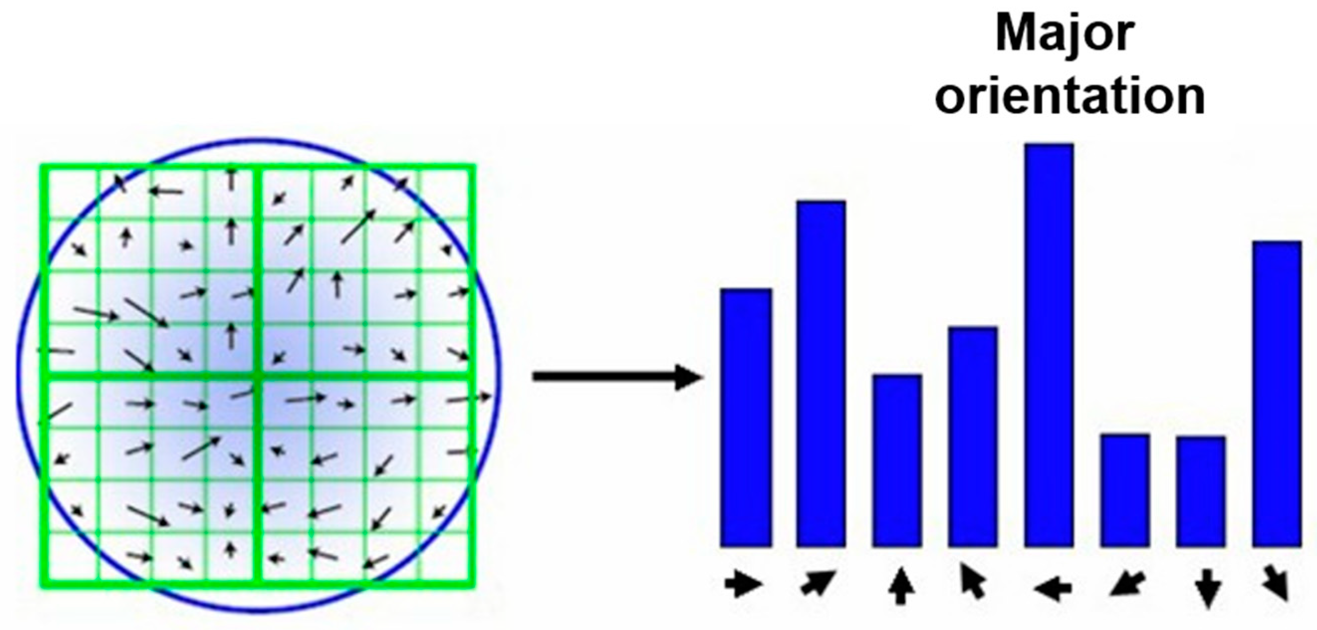 Features from point. Гистограмма направленных градиентов. Sift алгоритм. Histogram of Oriented gradients. Горизонтальная гистограмма зеленая вектор.