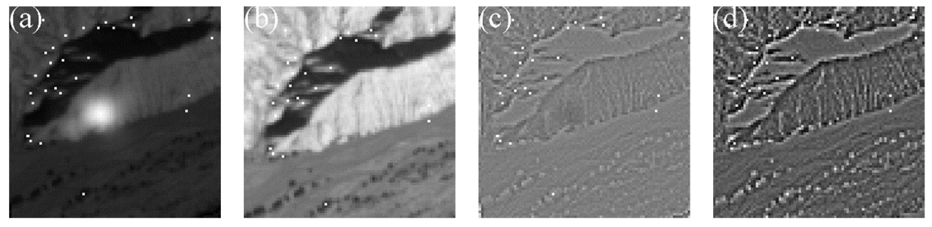 Sensors 20 02319 g007