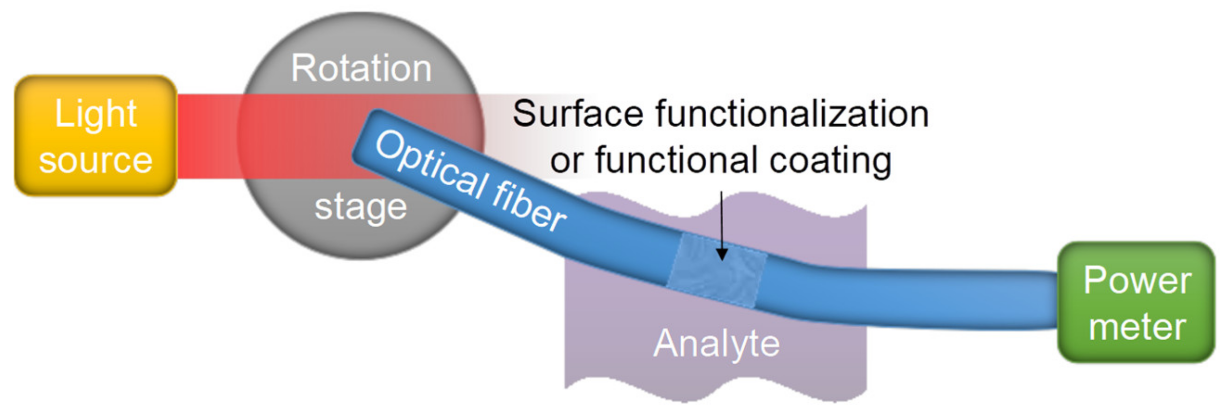 Sensors 20 02499 g003