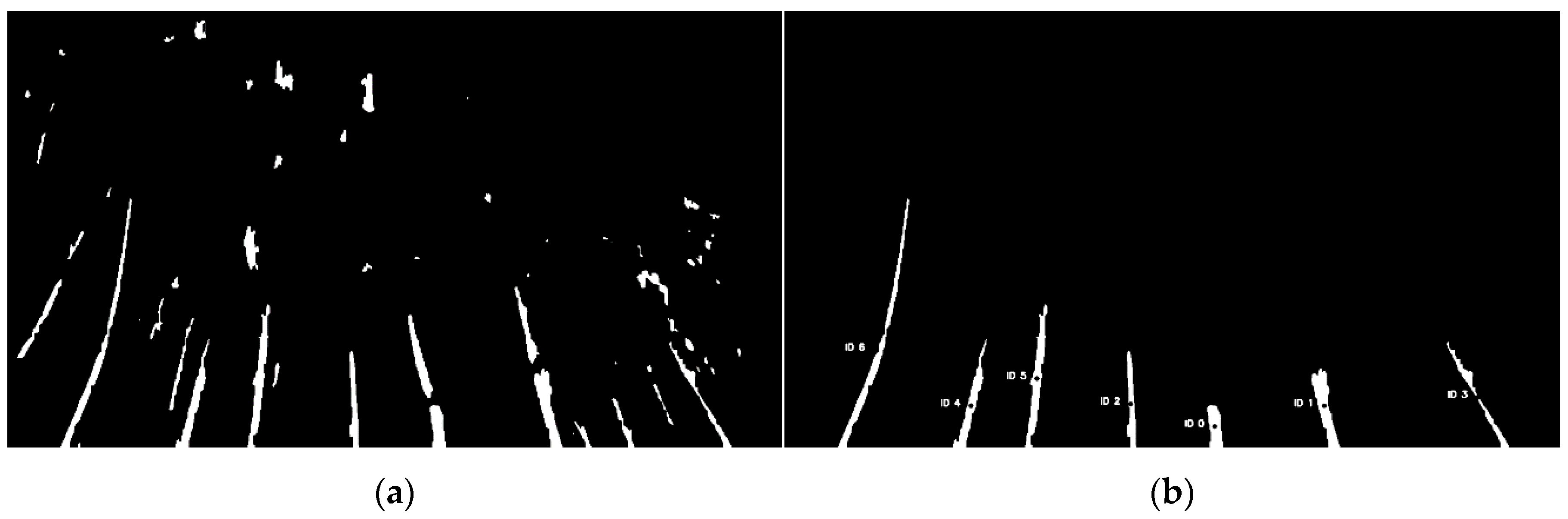 Sensors Free Full Text Development Of Willow Tree Yield Mapping Technology Html