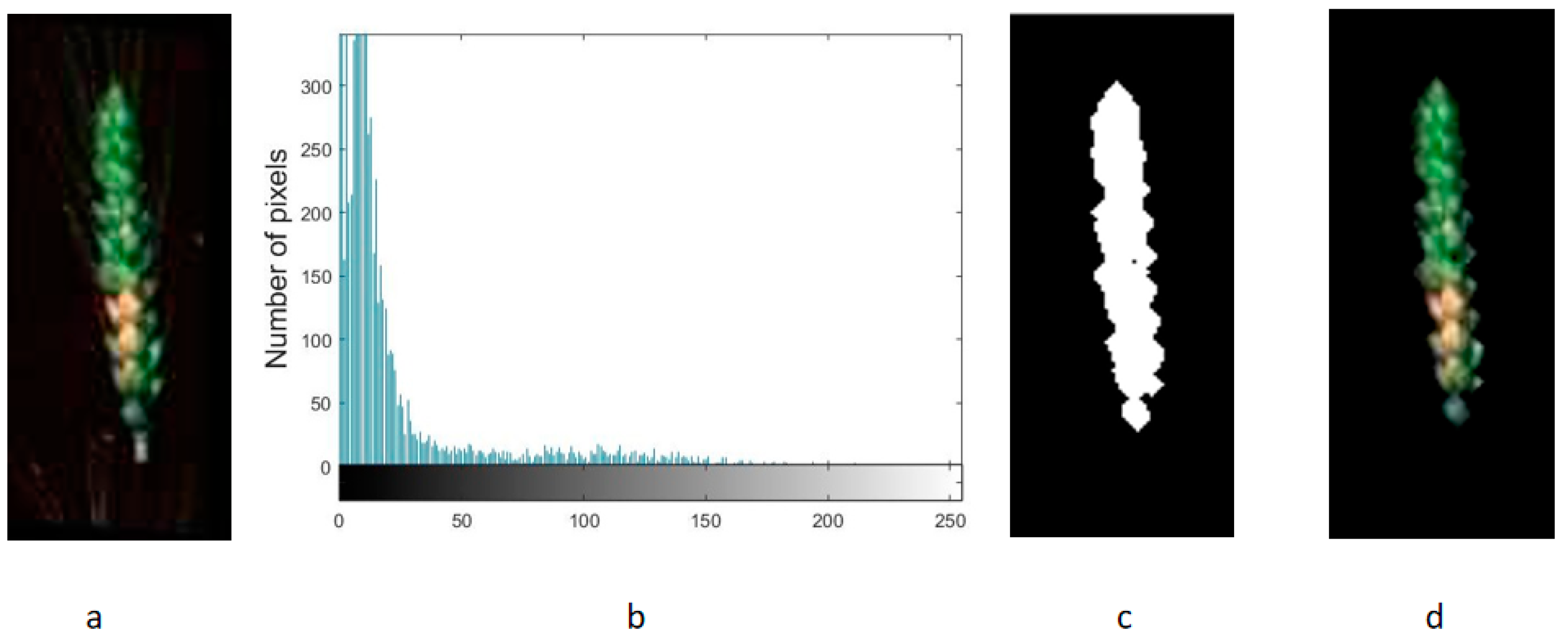 Sensors 20 02887 g003 Sensors 20 02887 g003