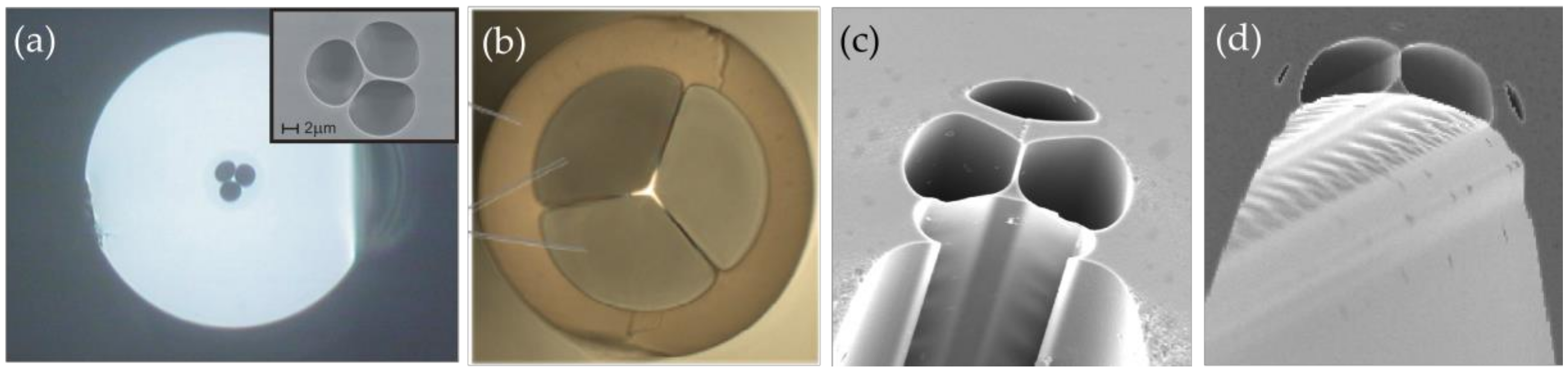 Sensors 20 02996 g005