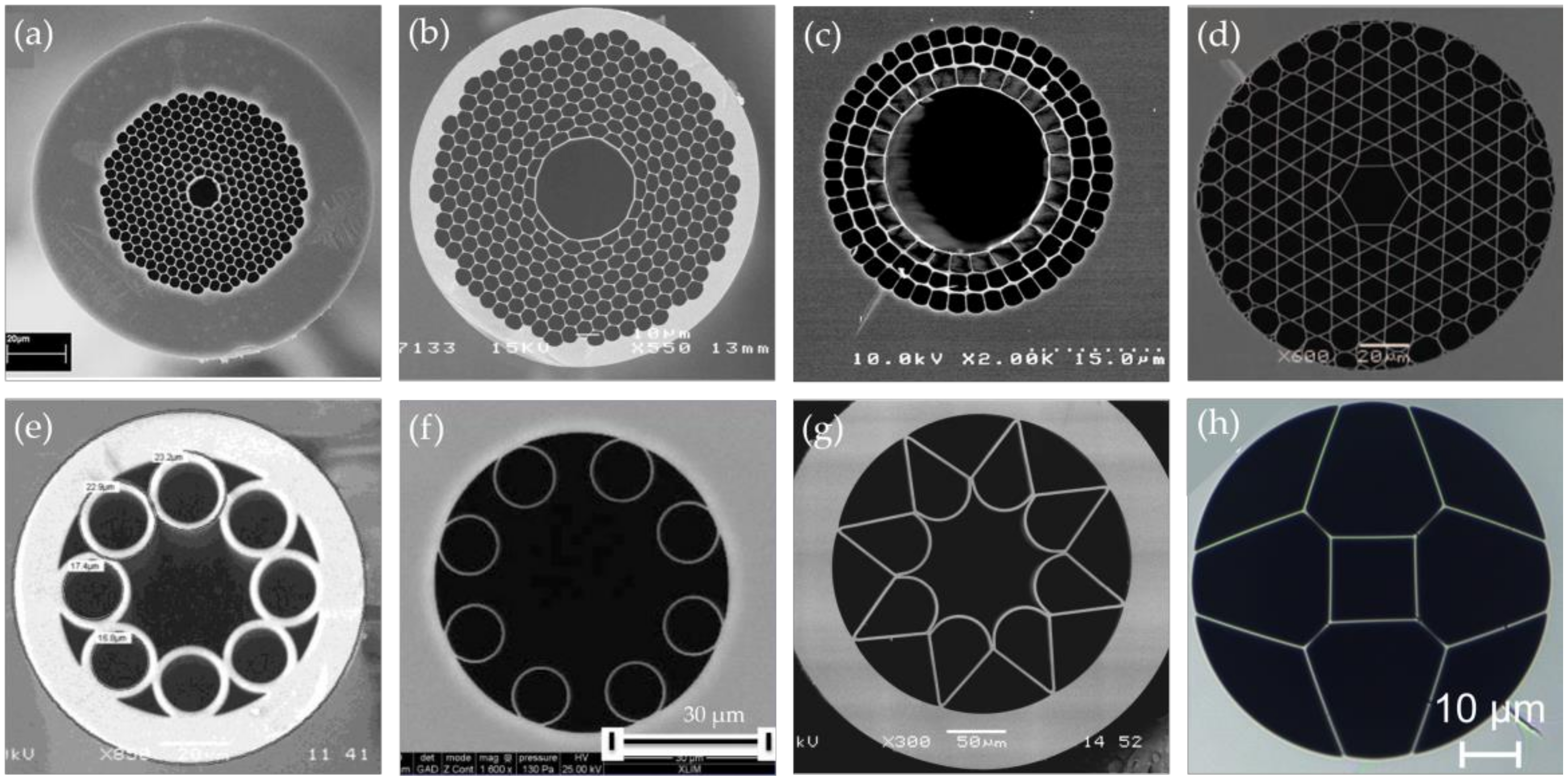 Sensors 20 02996 g006