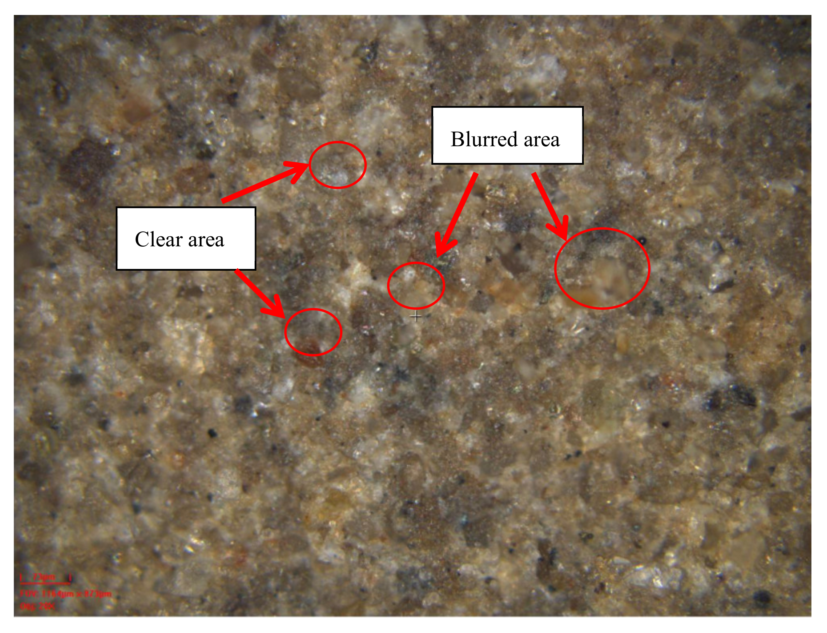 Sensors 20 03009 g005