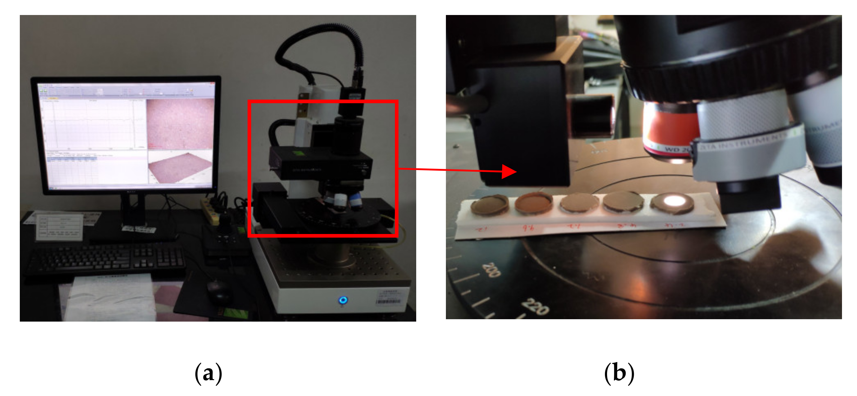 Sensors 20 03009 g007