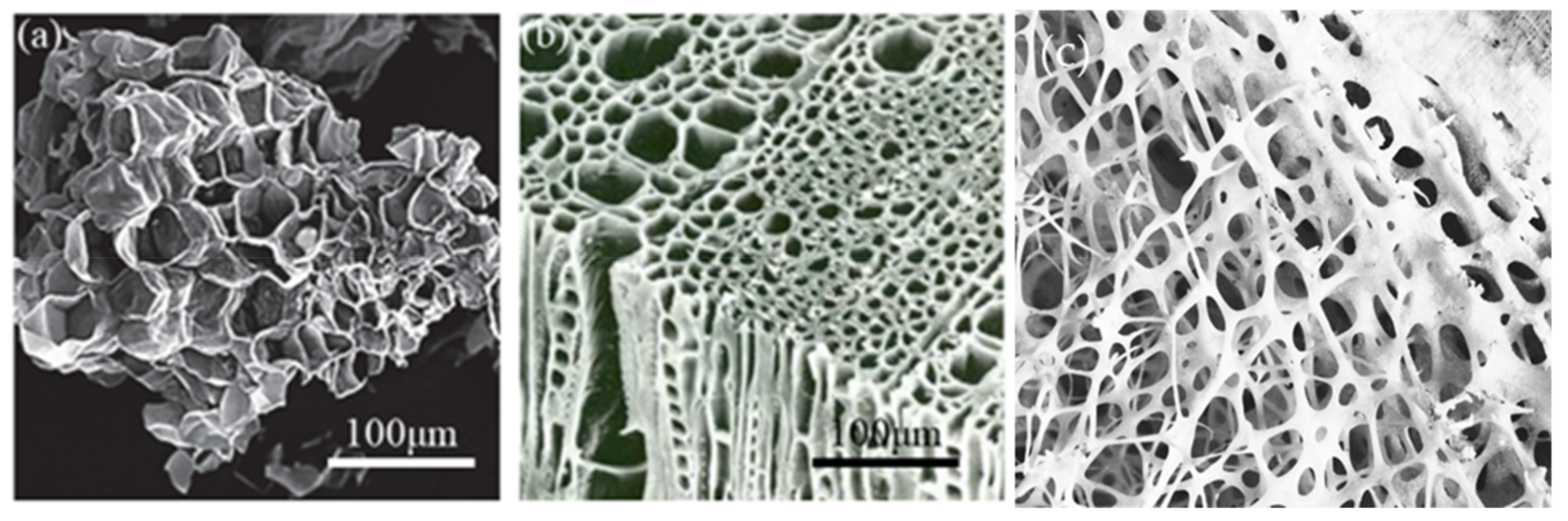 Sensors 20 03132 g004