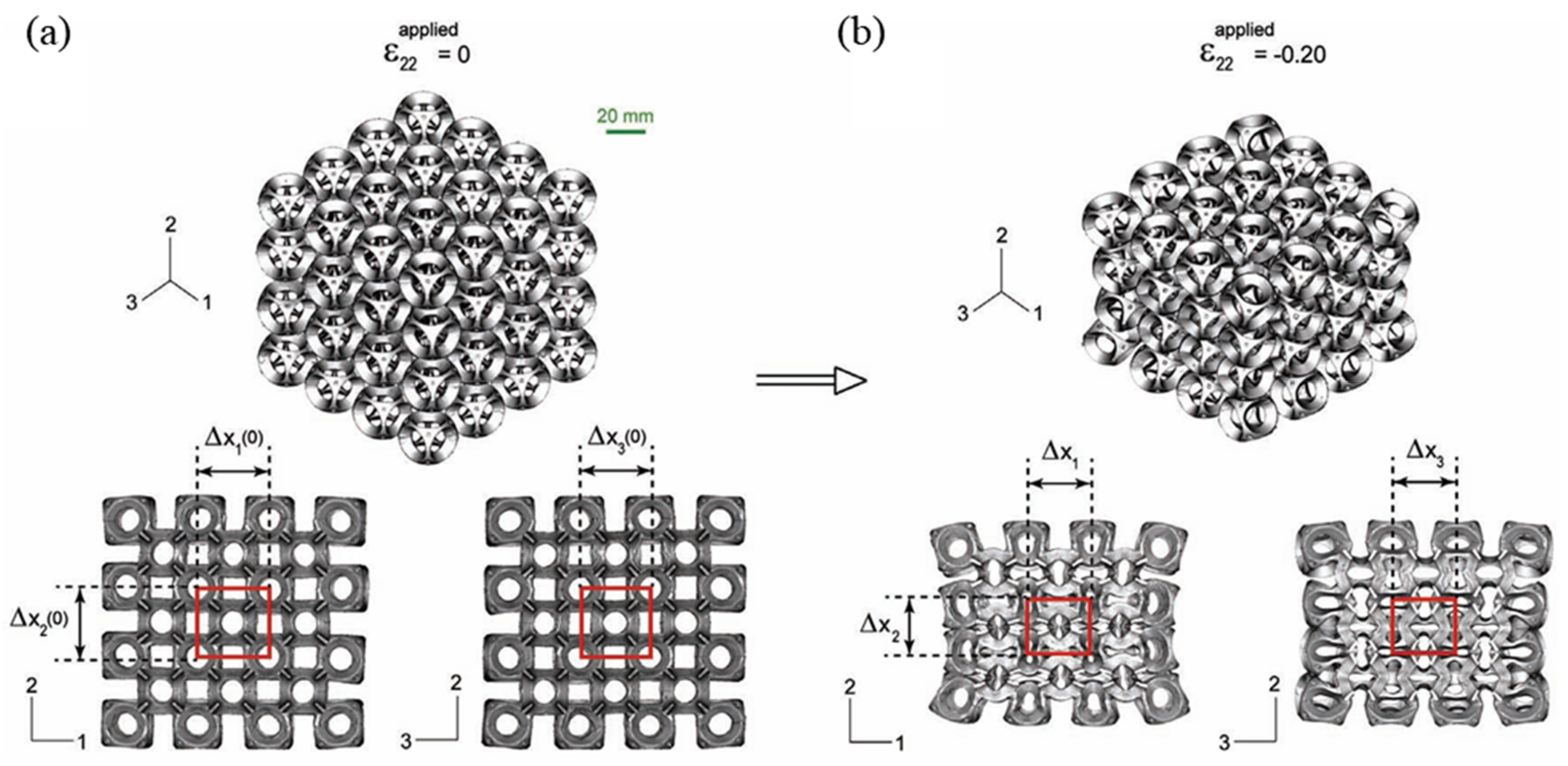 Sensors 20 03132 g012
