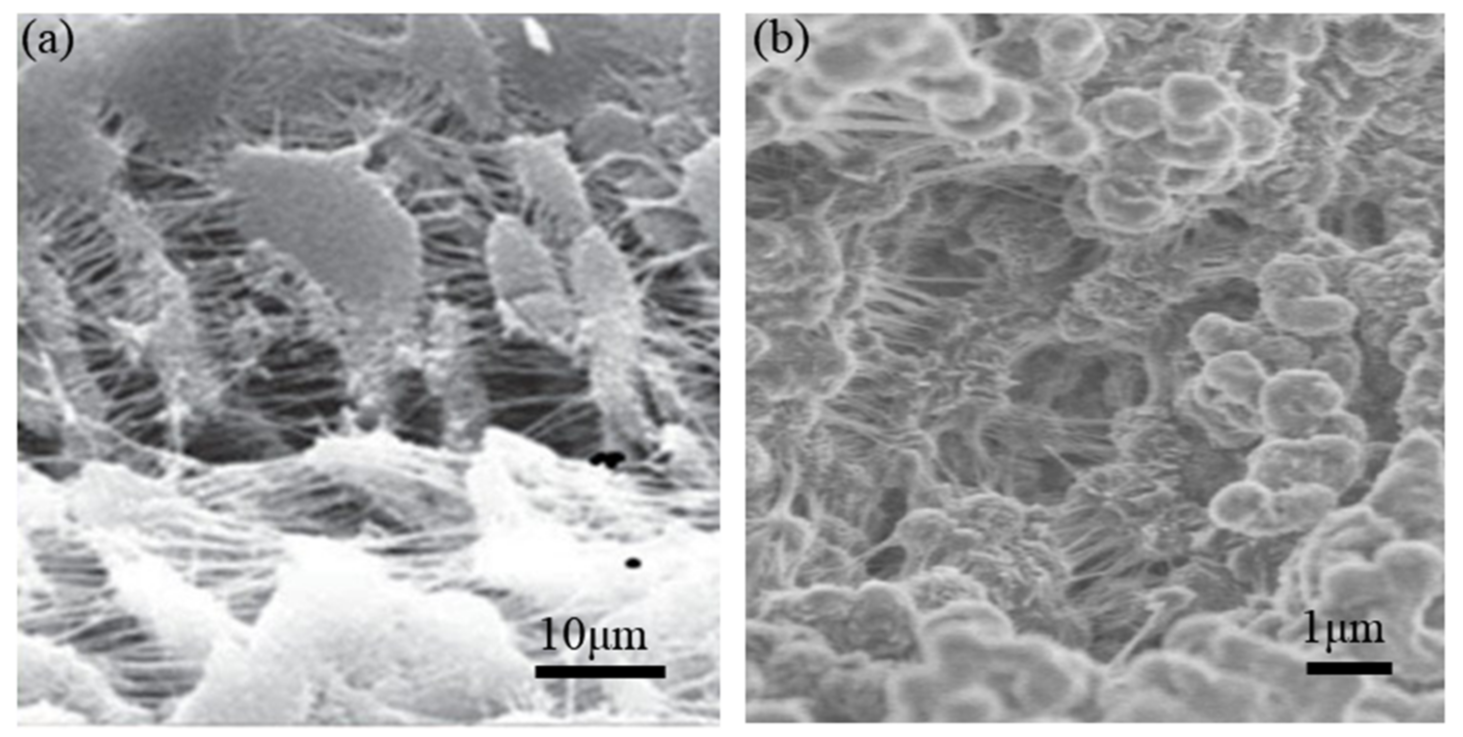 Sensors 20 03132 g014