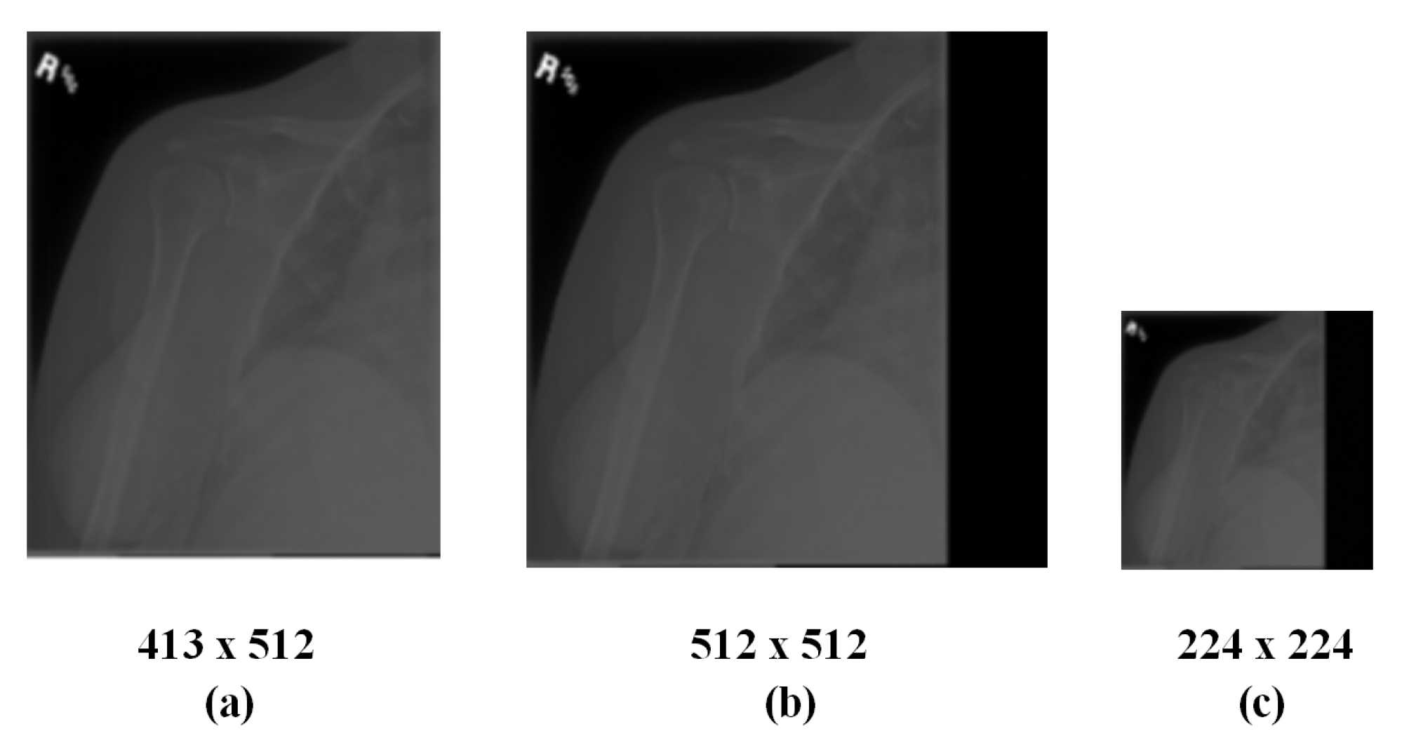 Sensors 20 03153 g001 Sensors 20 03153 g001