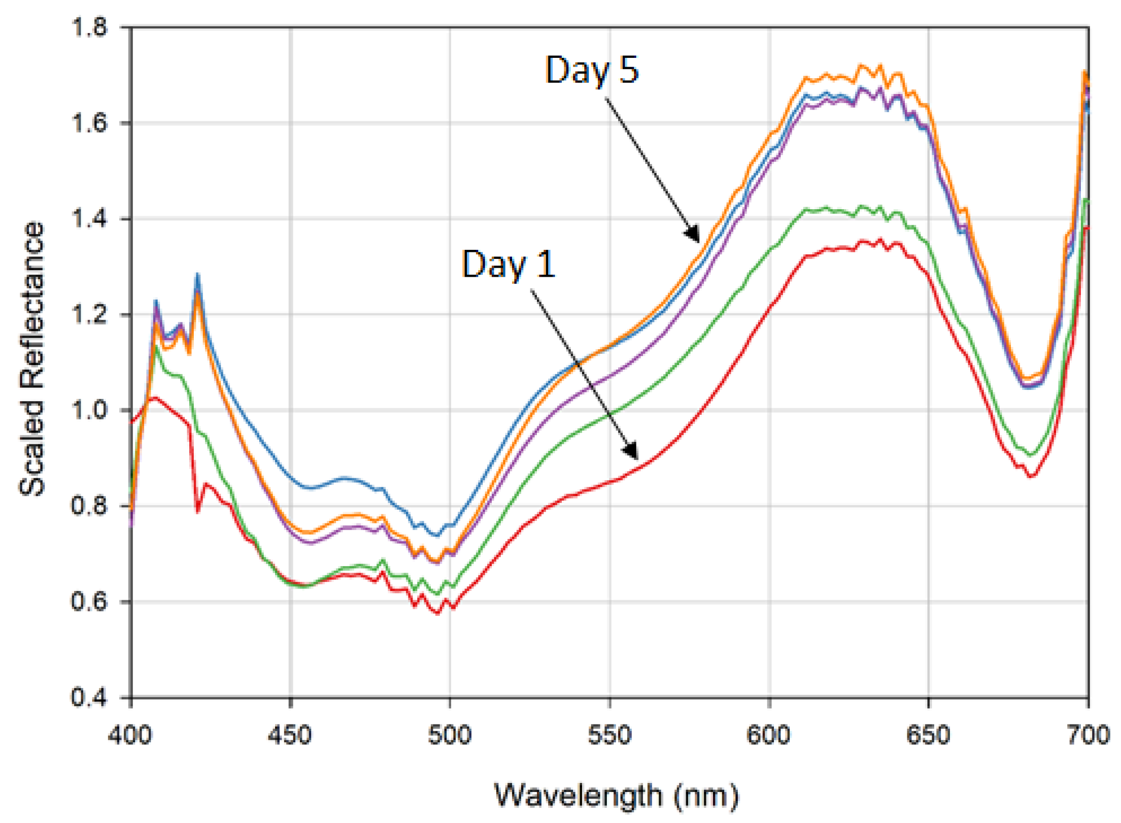 Sensors 20 03293 g005