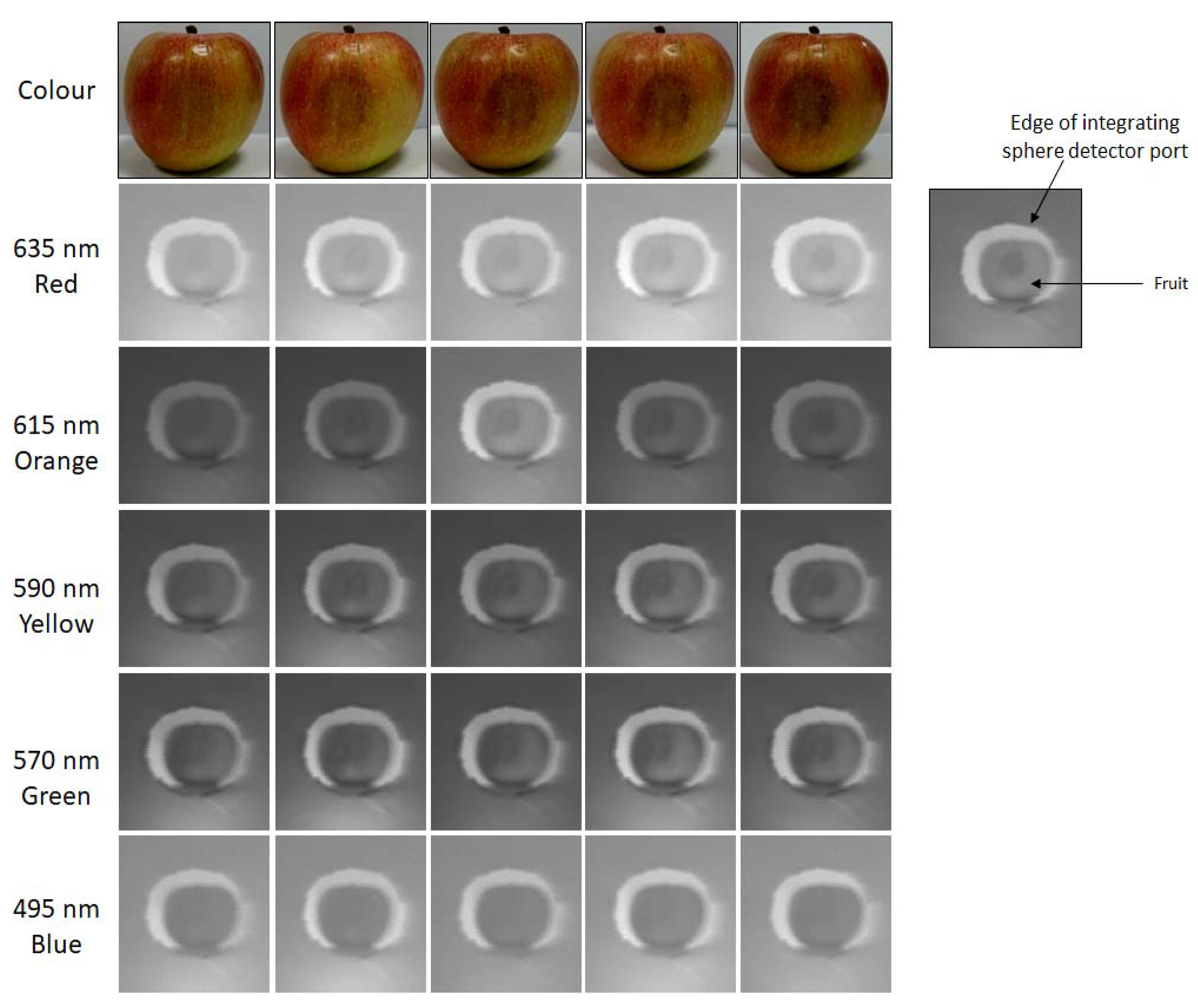 Sensors 20 03293 g006