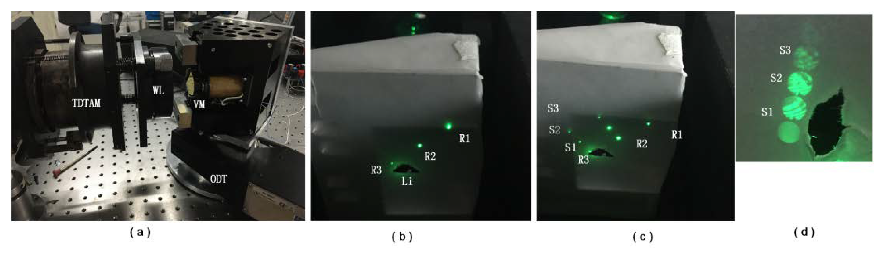 Sensors Free Full Text Multi Field Interference Simultaneously Imaging On Single Image For Dynamic Surface Measurement Html