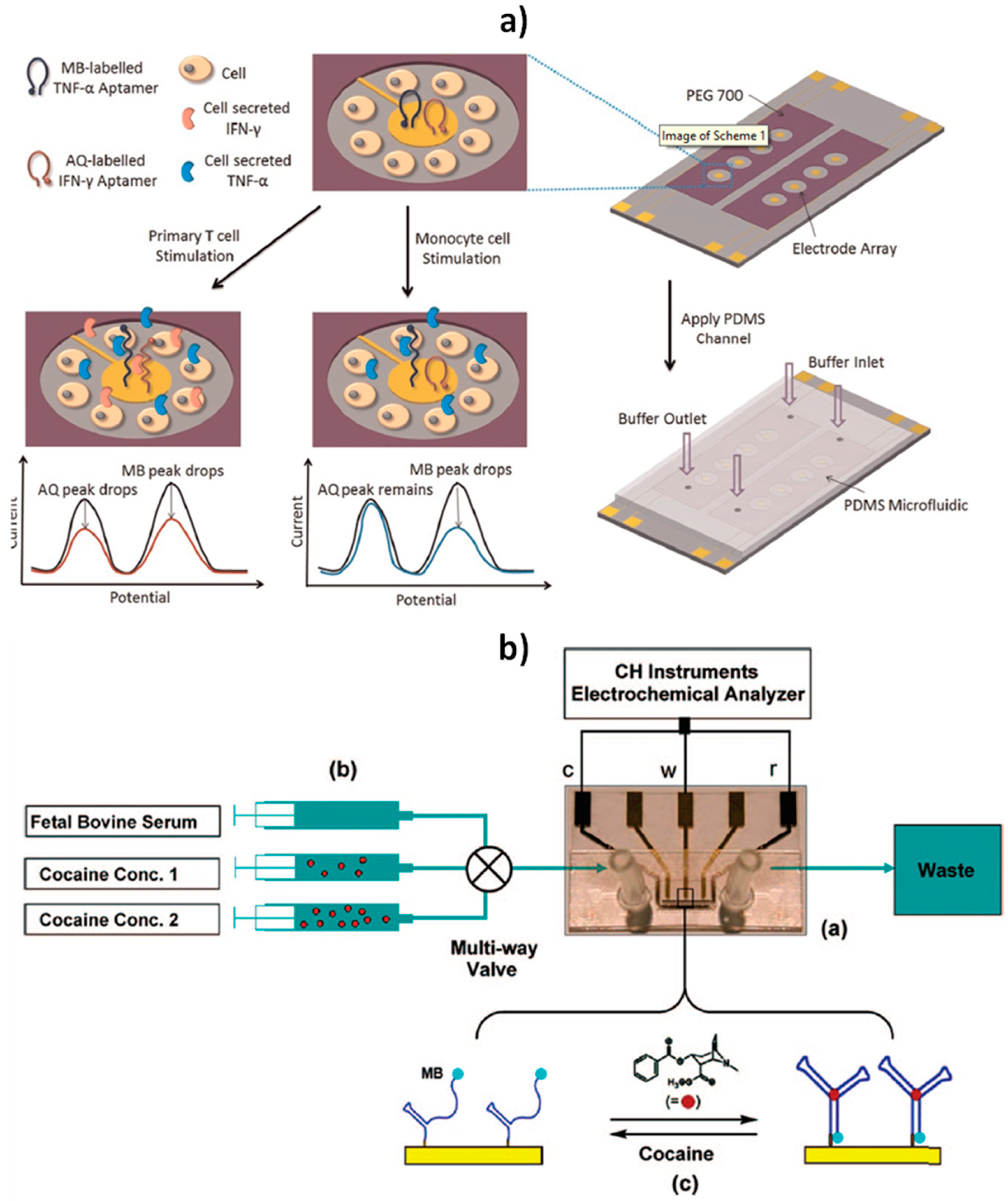 Sensors 20 03376 g006 Sensors 20 03376 g006