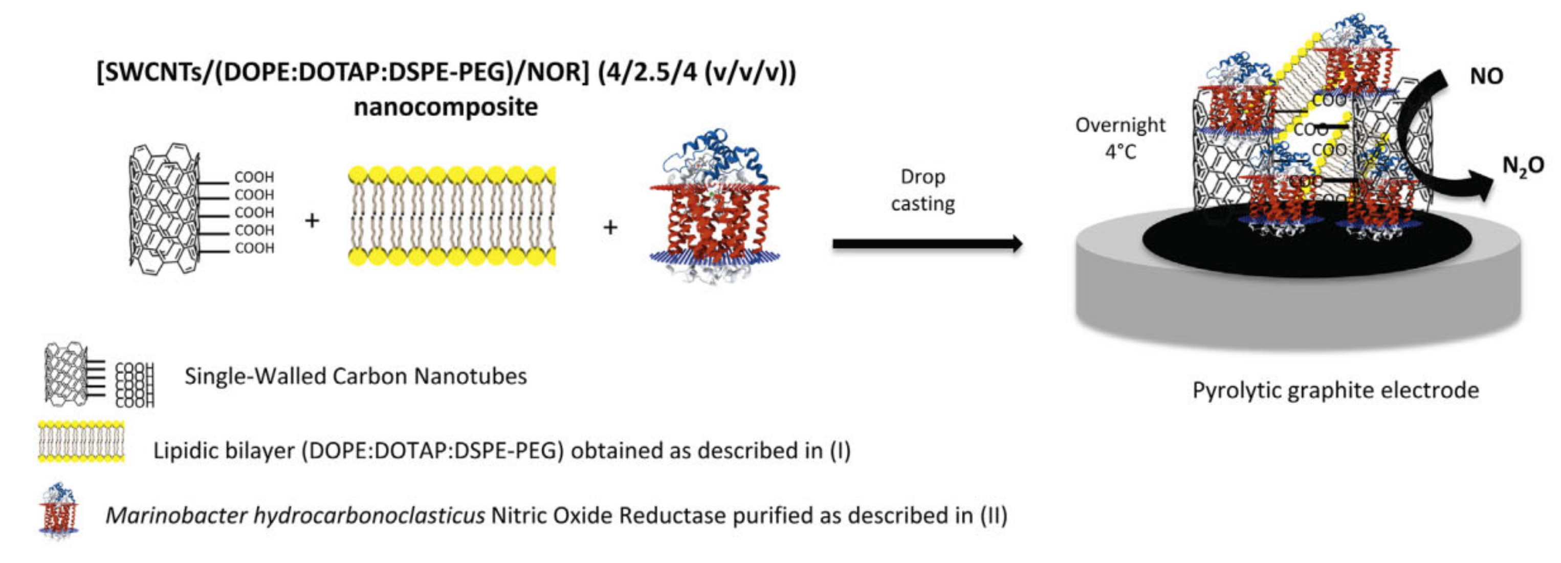 Sensors 20 03393 g007