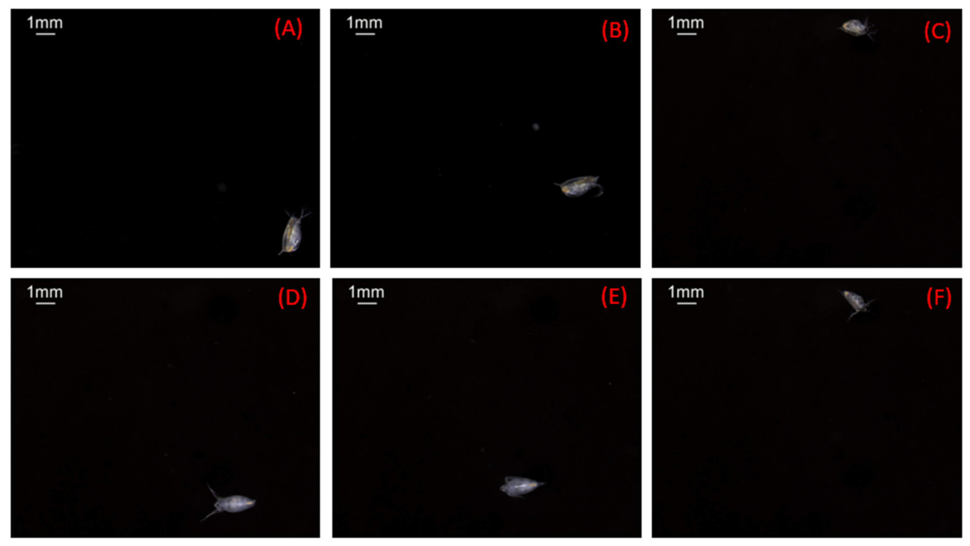 Sensors 20 03471 g012