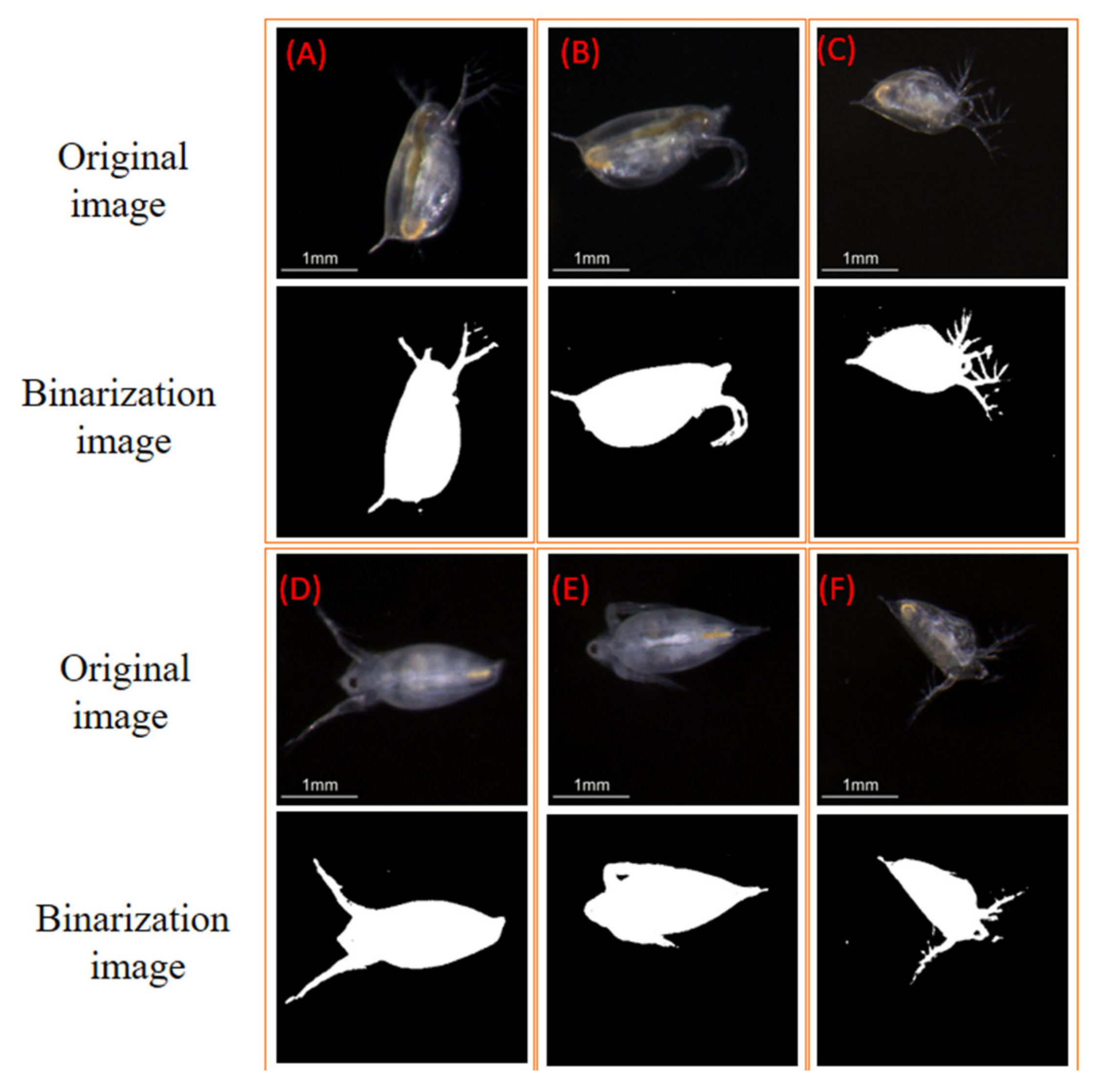 Sensors 20 03471 g013