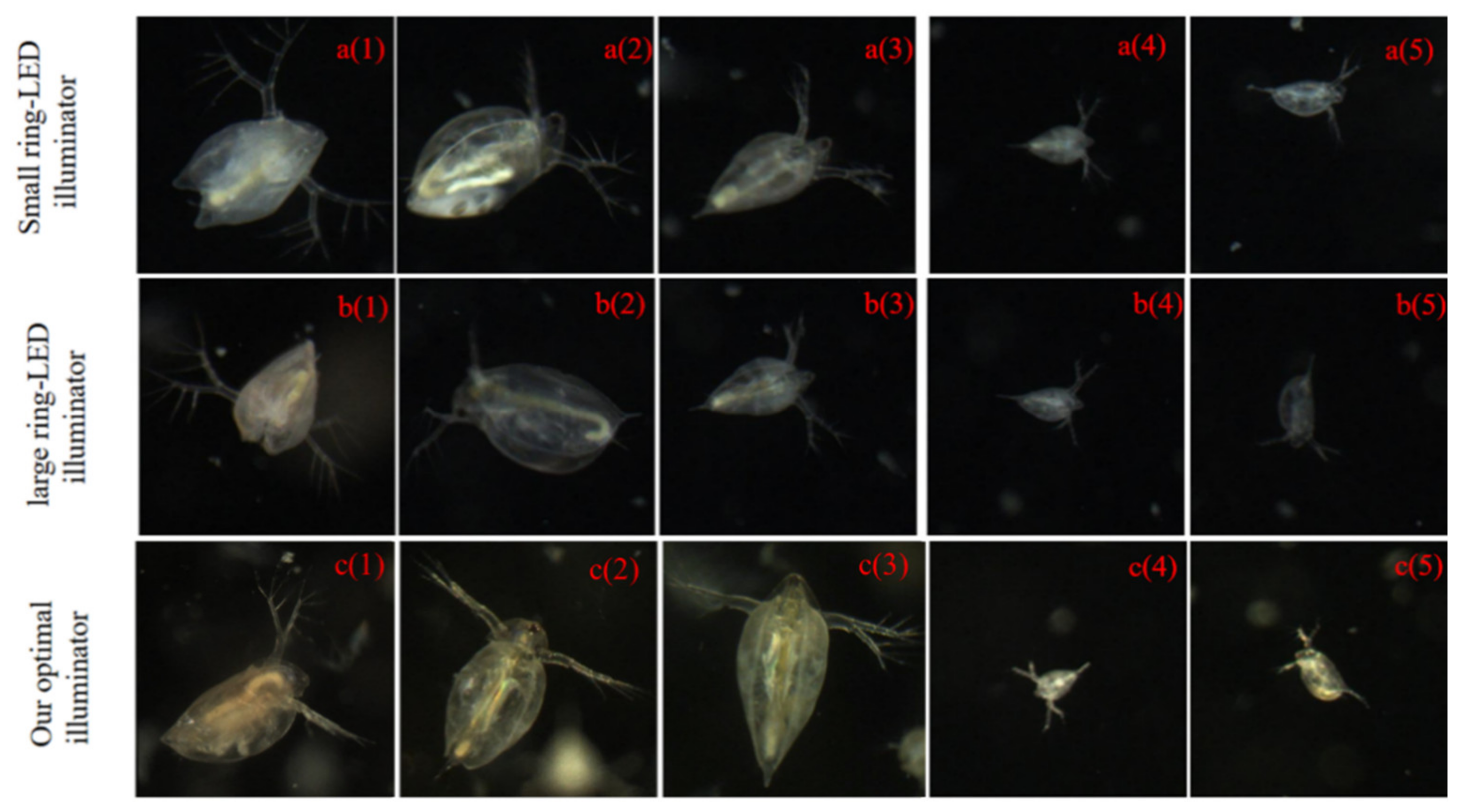 Sensors 20 03471 g015