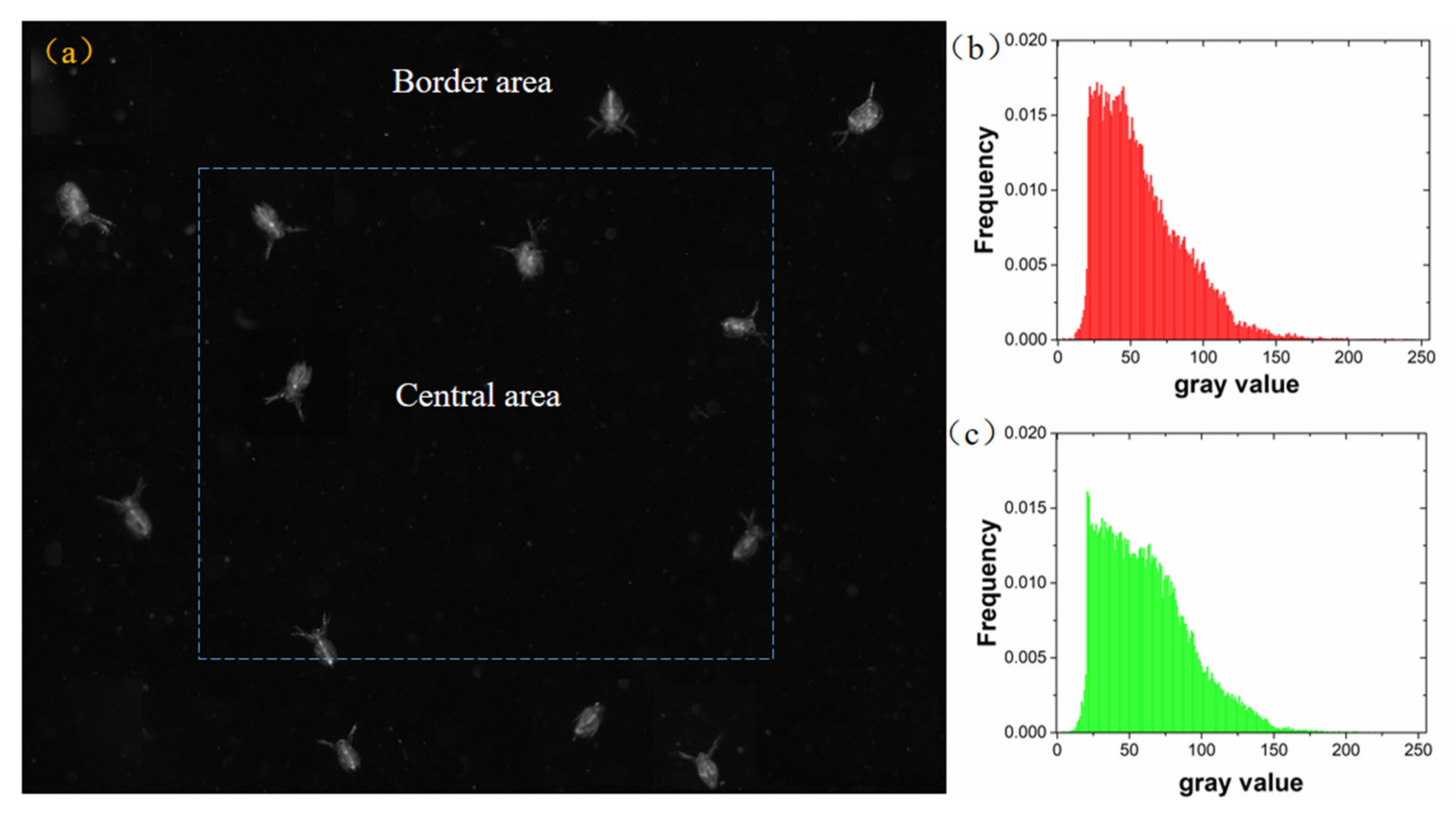 Sensors 20 03471 g017