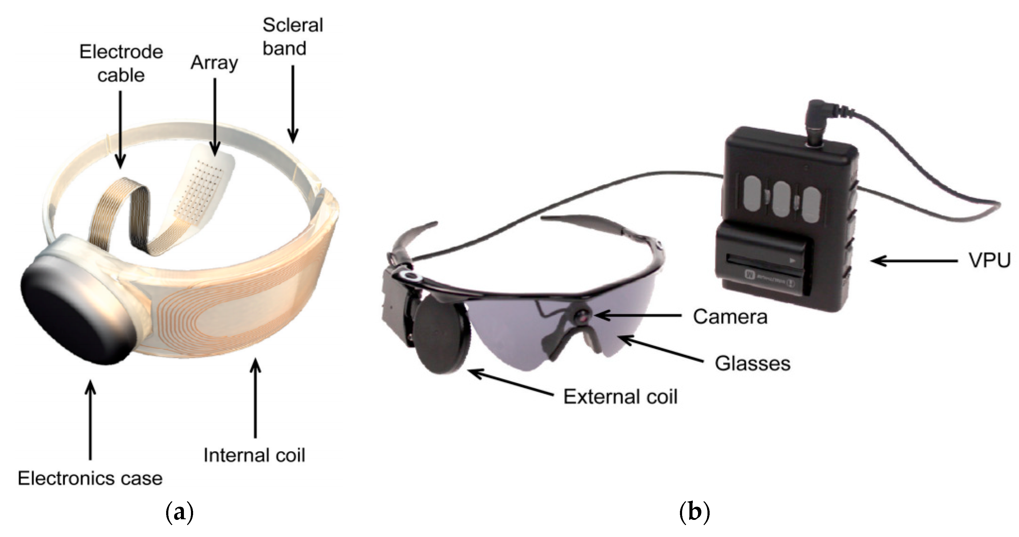 Argus p1s. Argus II протезы. Аргус 2 бионический глаз. Argus II retinal prosthesis System. Argus 20w.