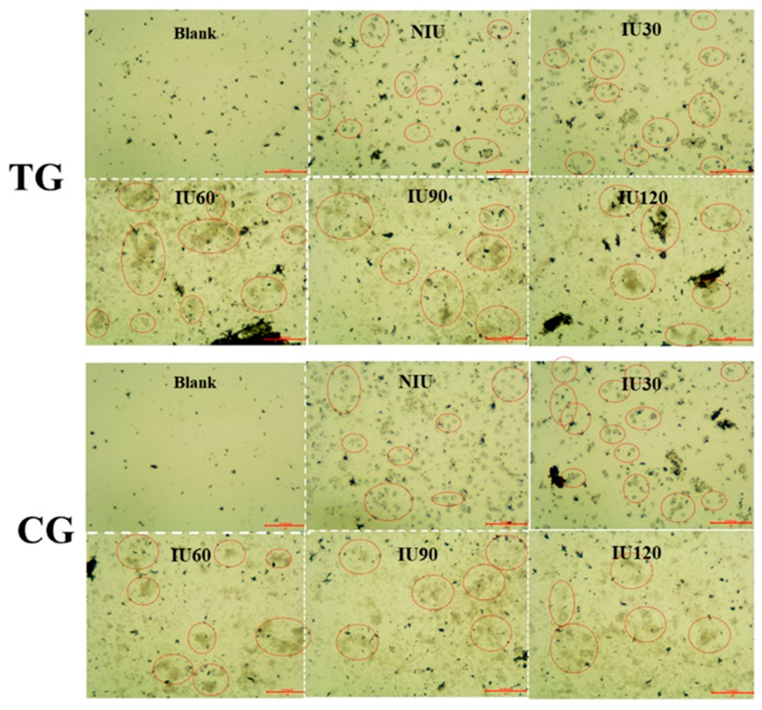 Sensors 20 03500 g002
