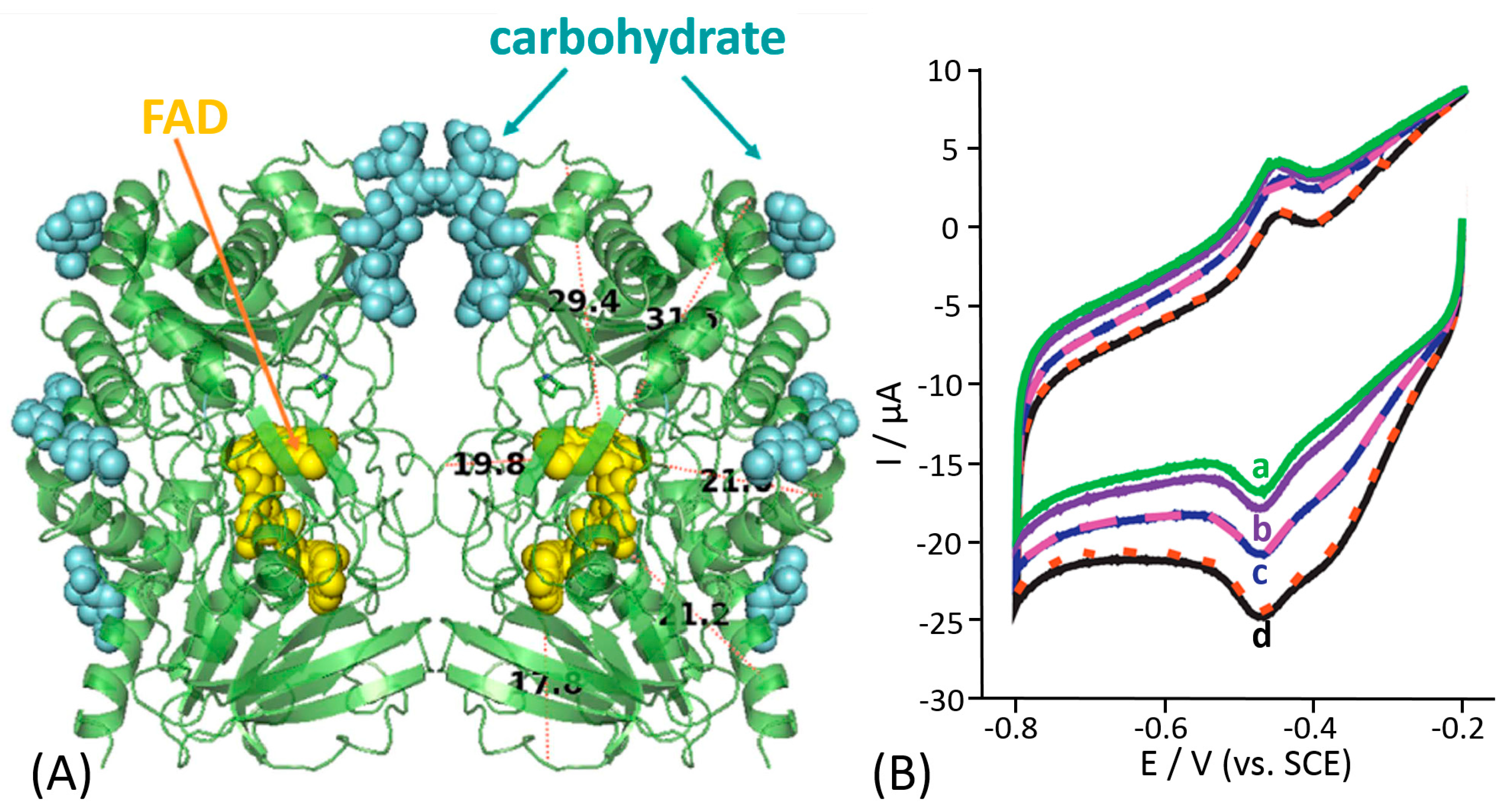 Sensors 20 03517 g008