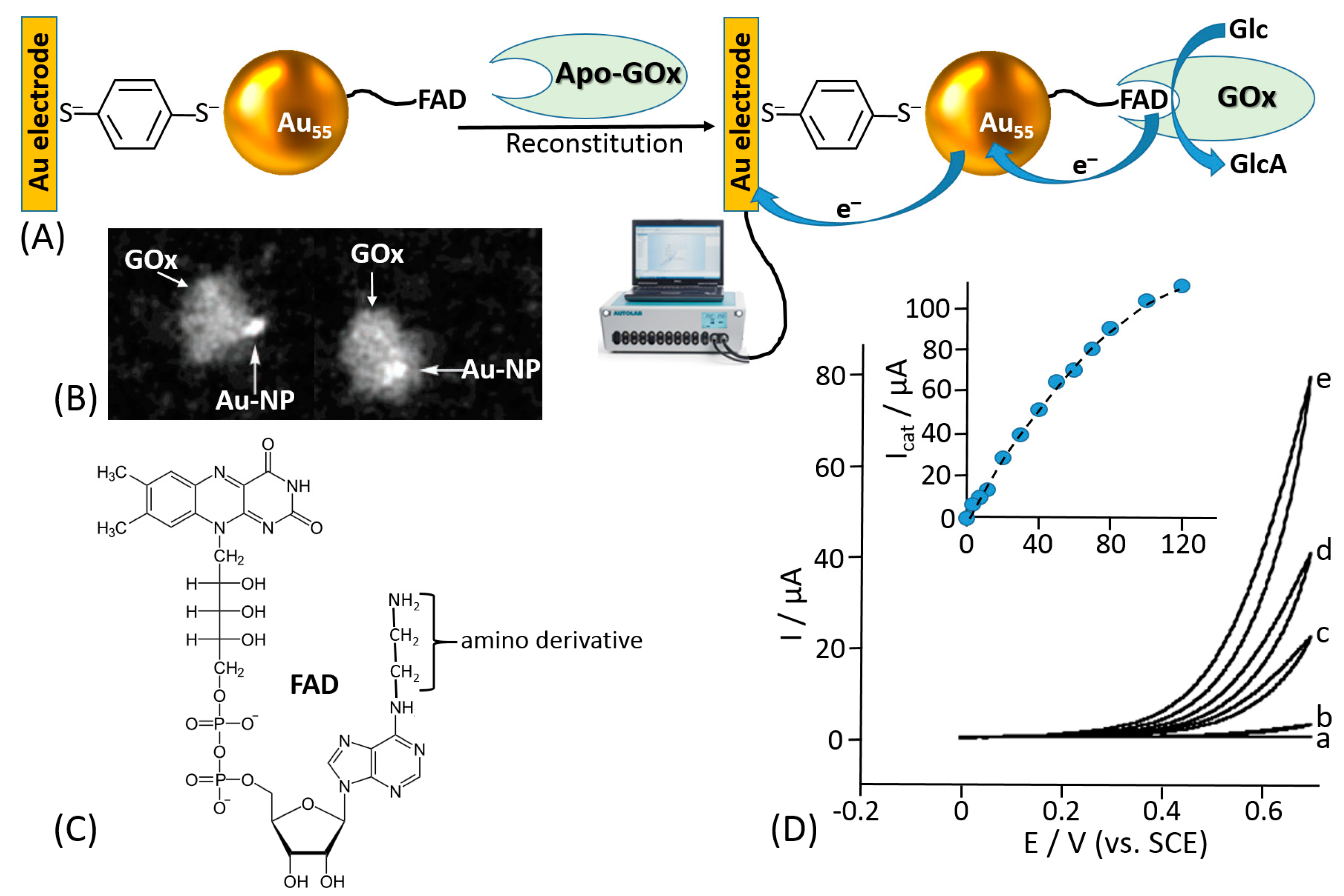 Sensors 20 03517 g010