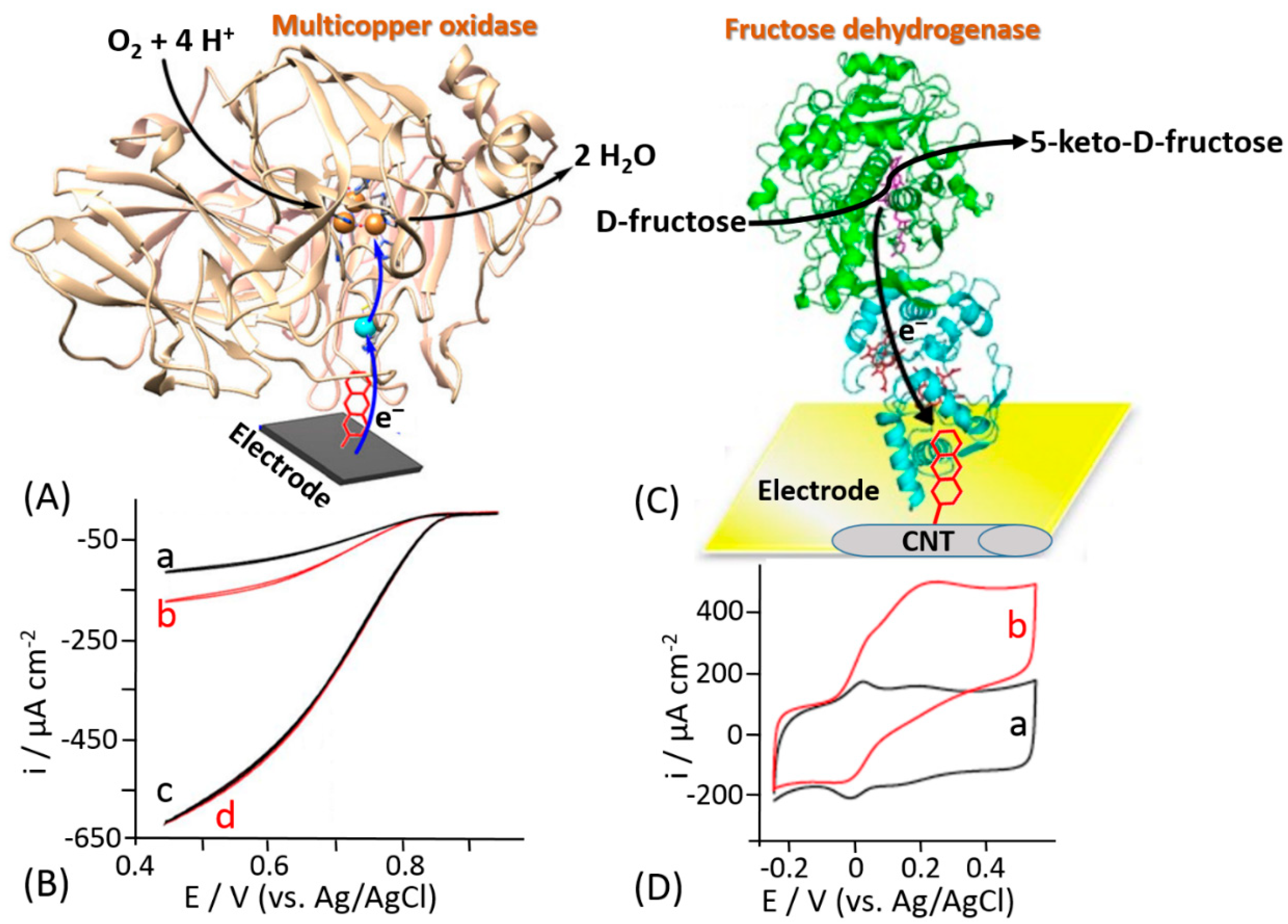Sensors 20 03517 g015
