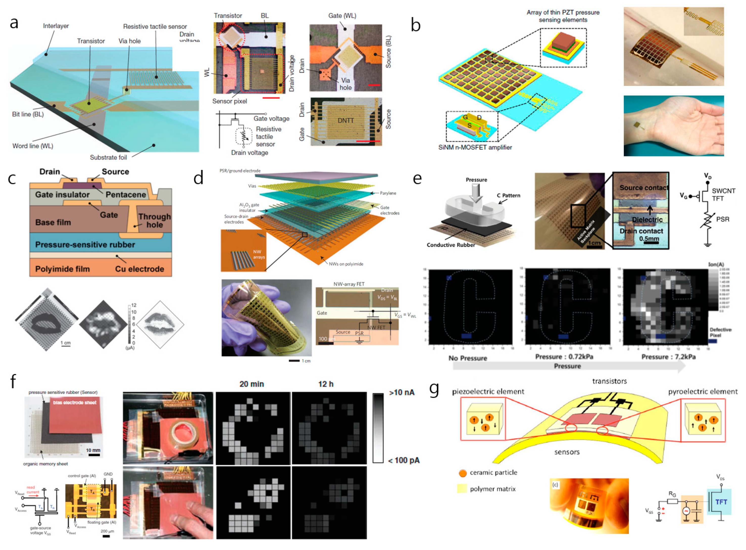 Sensors 20 03624 g004