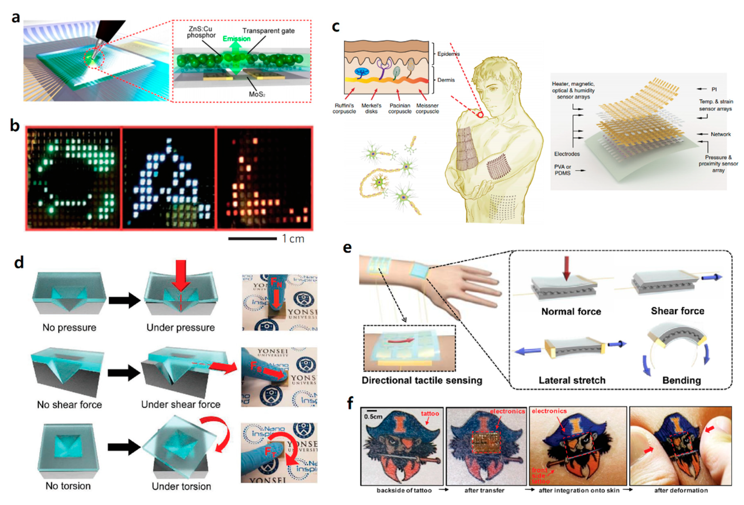 Sensors 20 03624 g007