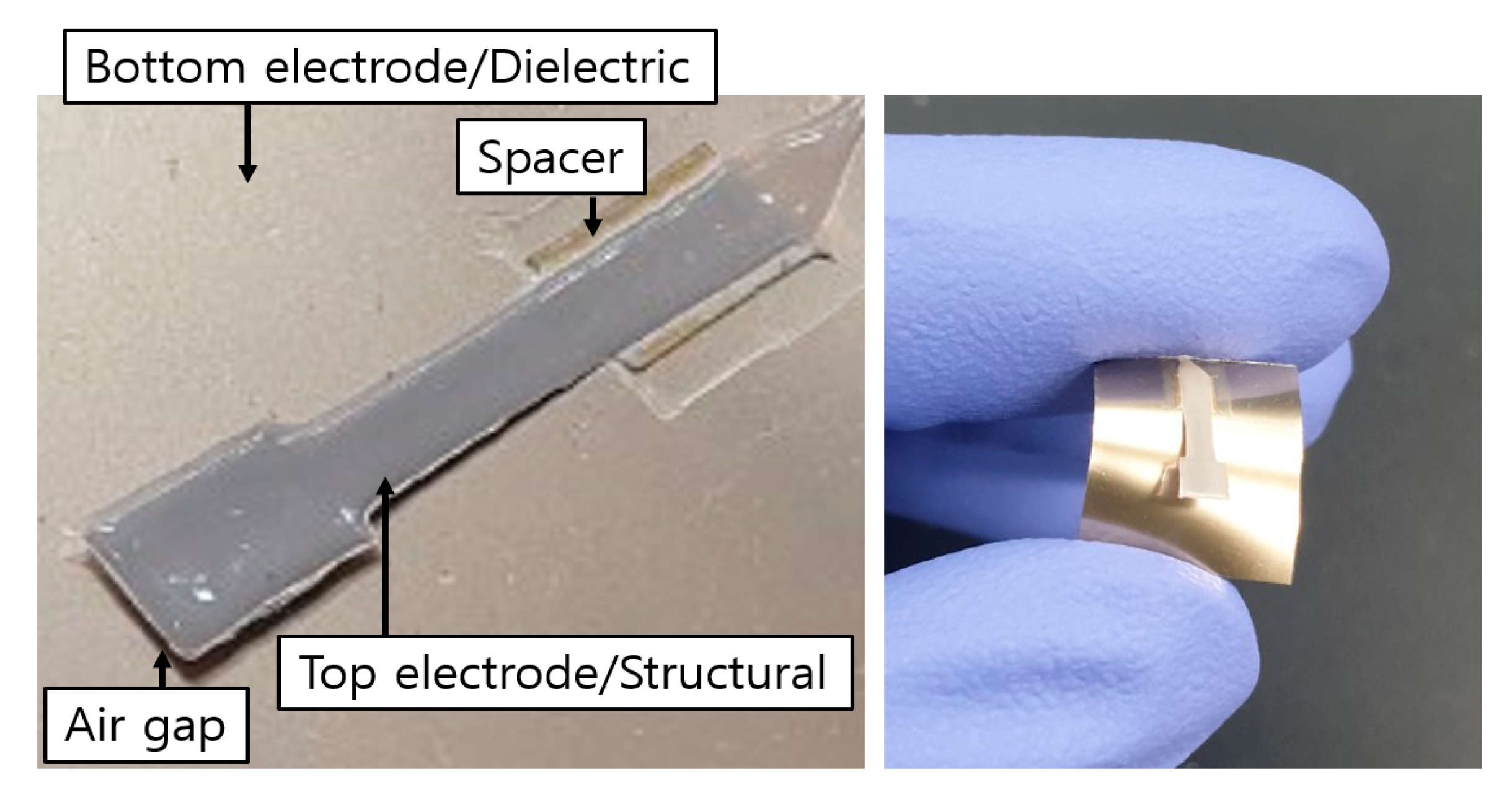 Sensors 20 03748 g005