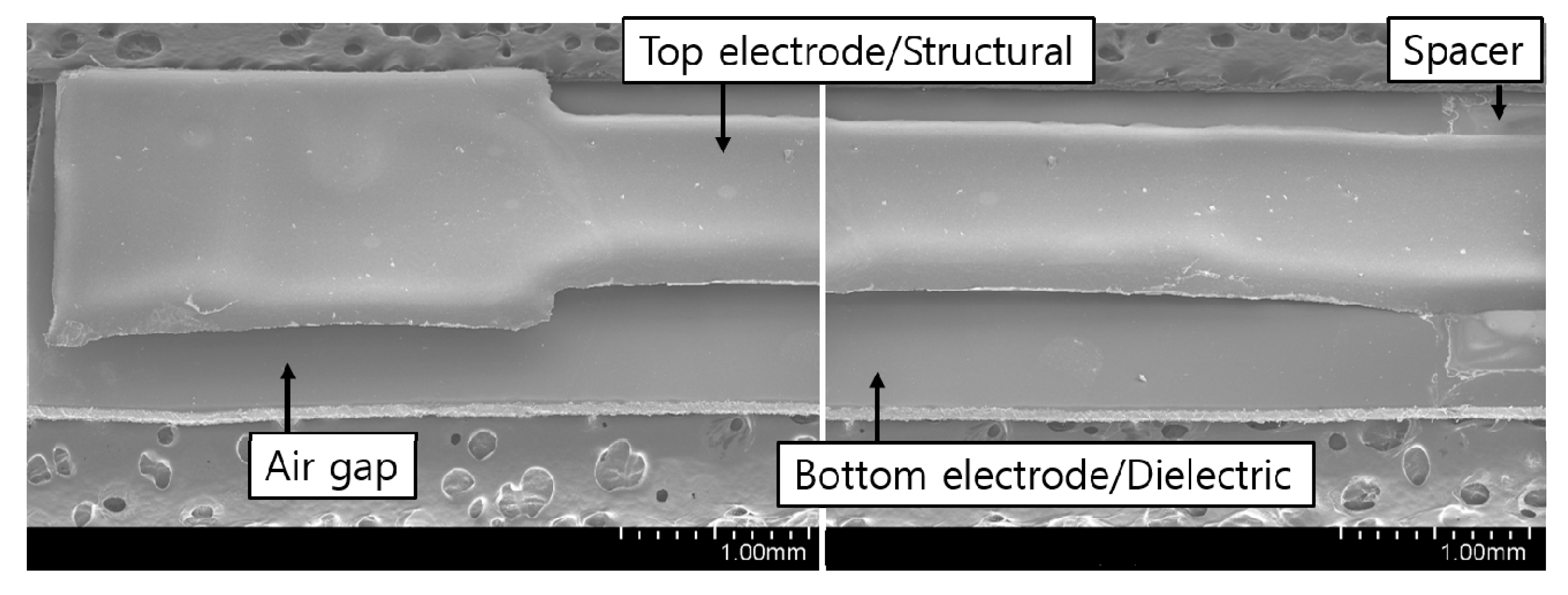 Sensors 20 03748 g006