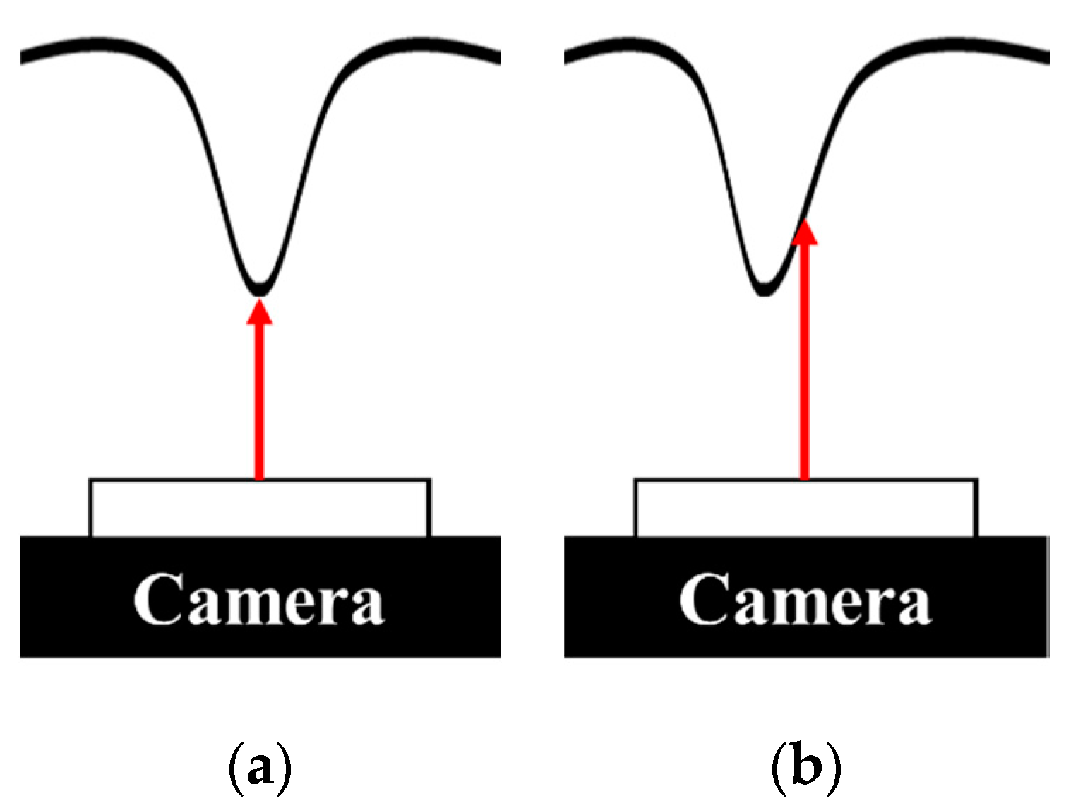 Sensors 20 03796 g006