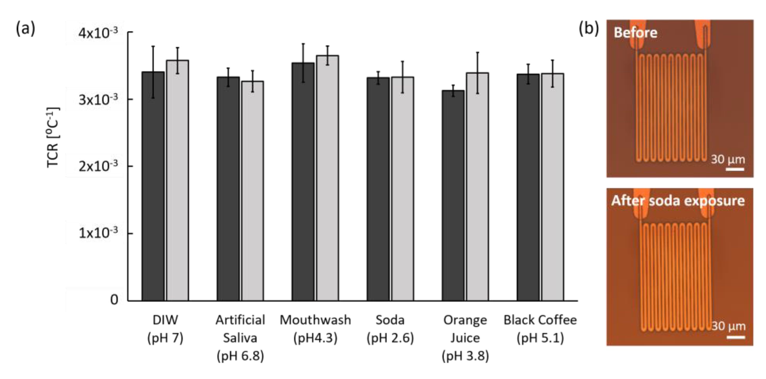 Temperature Sensors Manufactured from Edible Materials Intended for Oral  Cavity Operation