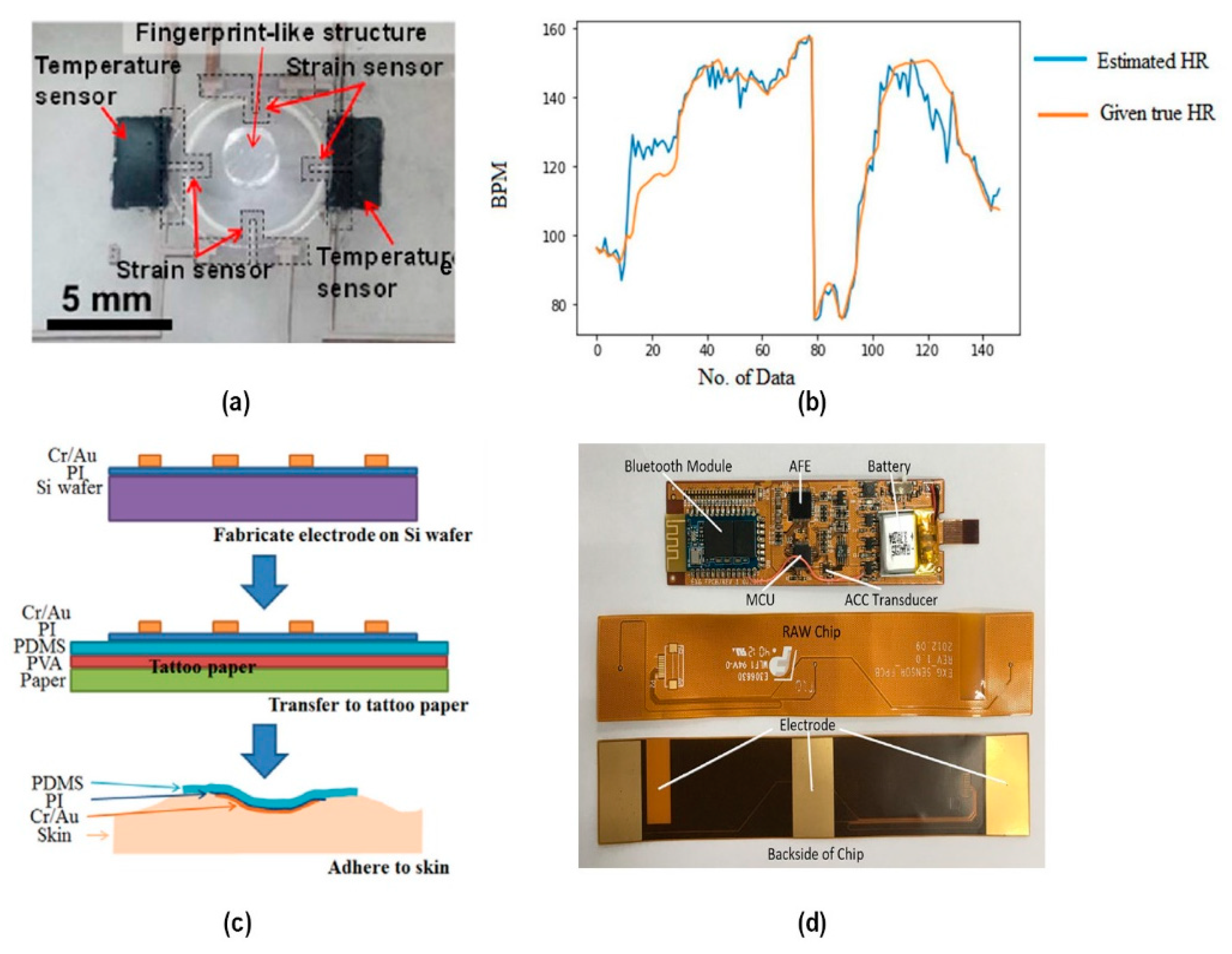 Sensors 20 04009 g006