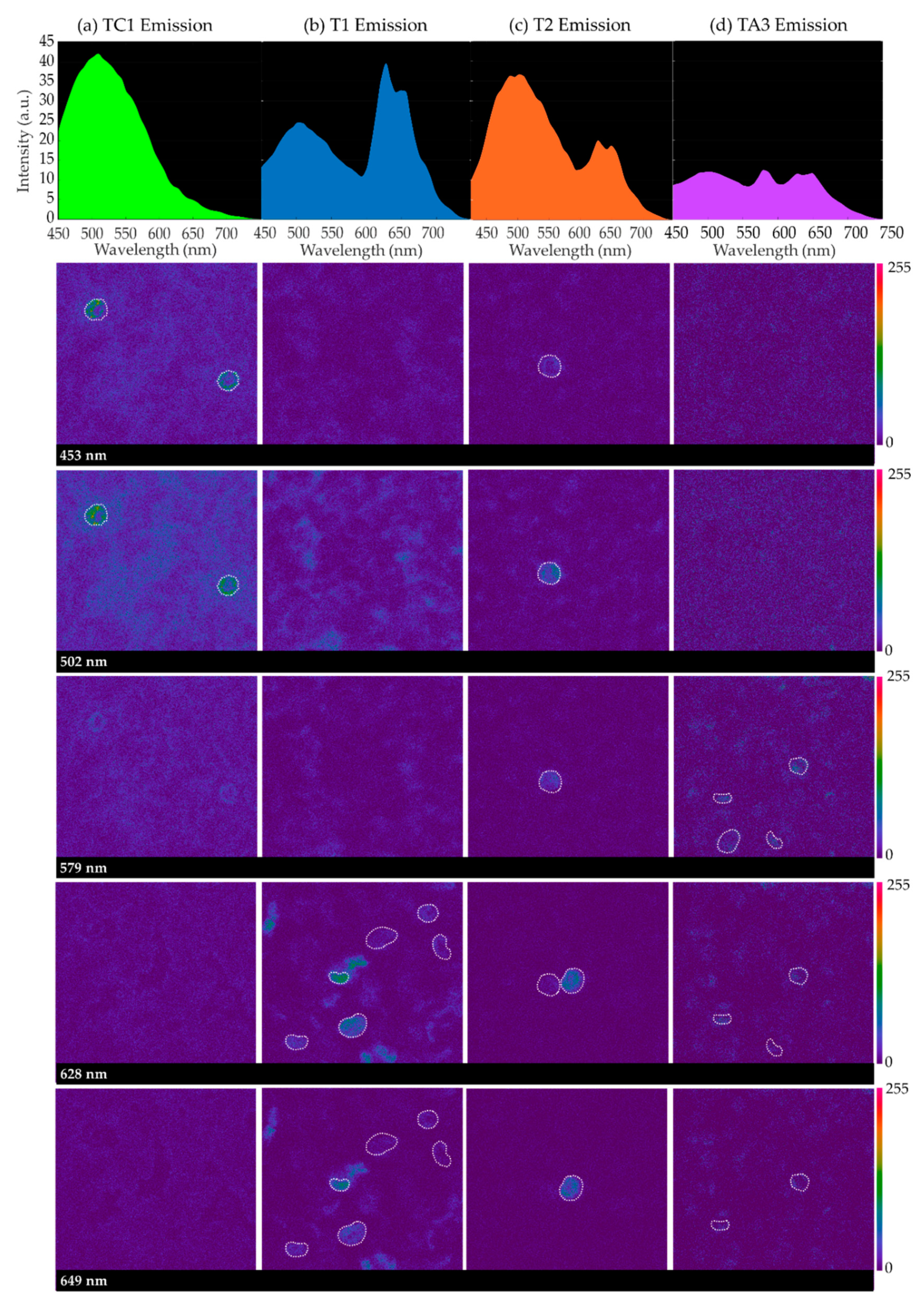  How To Merge Cells In Excel Without Losing Data Reddiy Pohpuppy