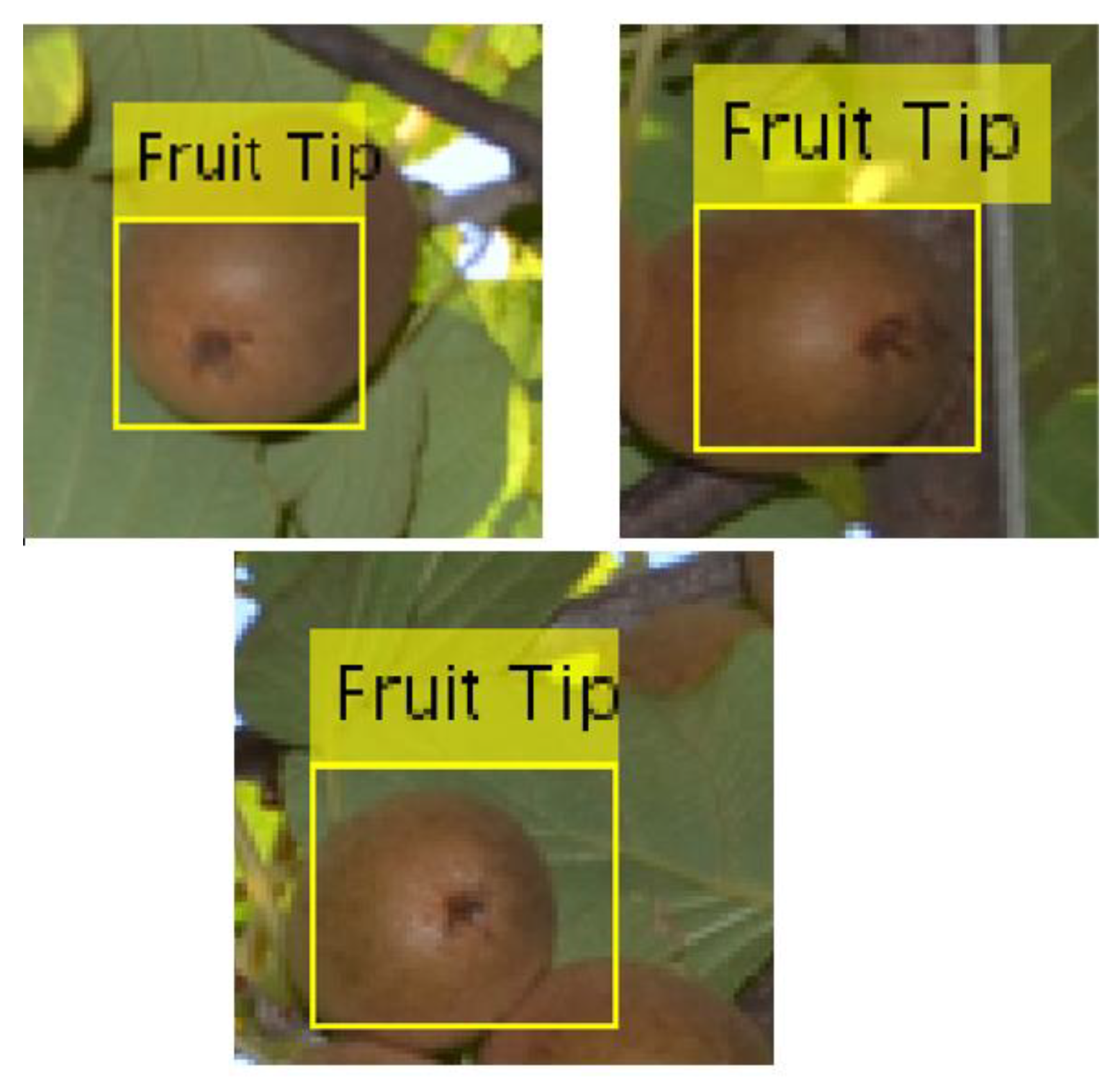 Sensors 20 04214 g009