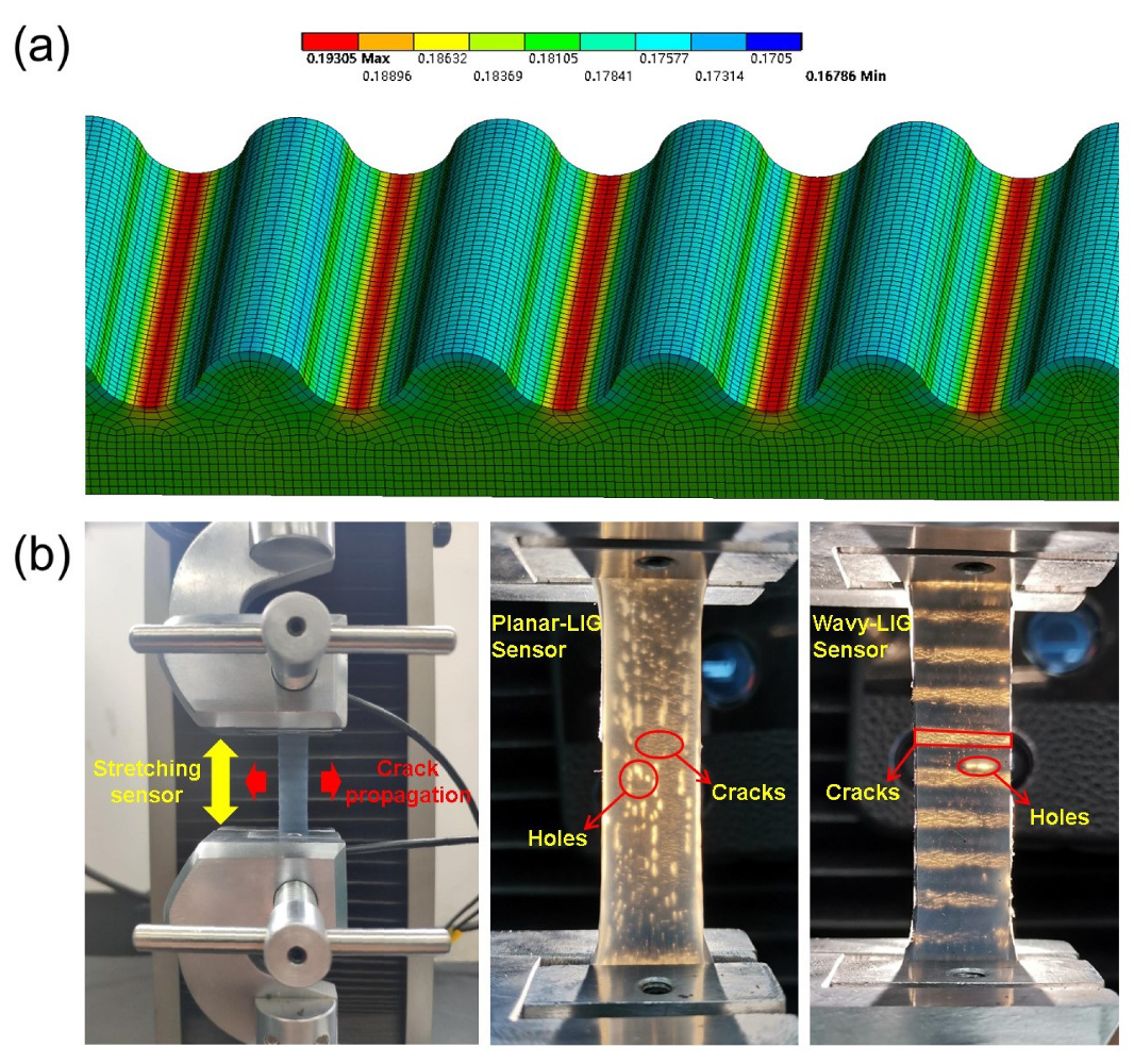 Sensors | Free Full-Text | Wearable Flexible Strain Sensor Based On ...