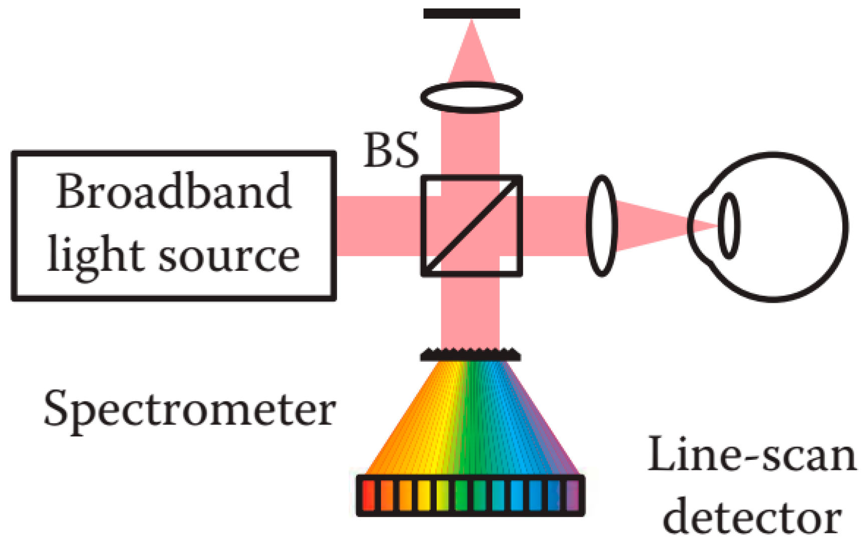 Sensors 20 04285 g016
