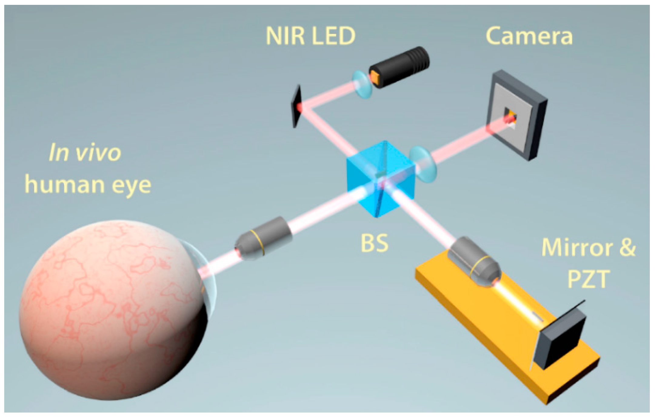 Sensors 20 04285 g018