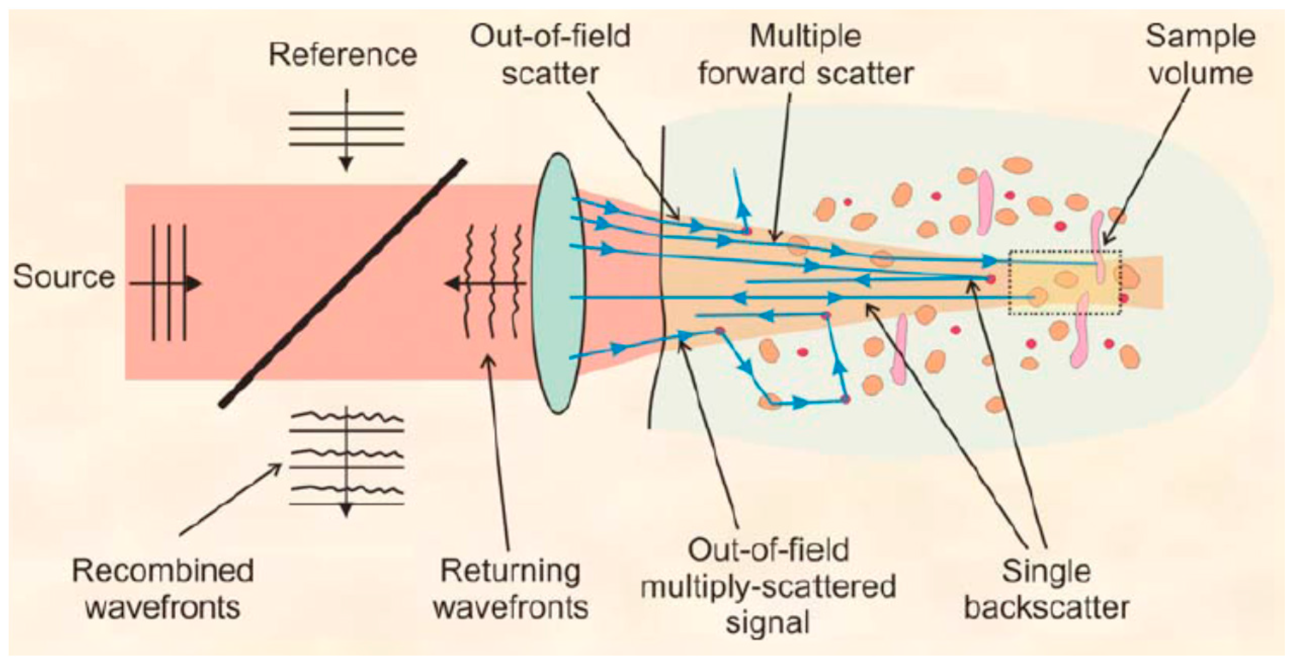 Sensors 20 04285 g020